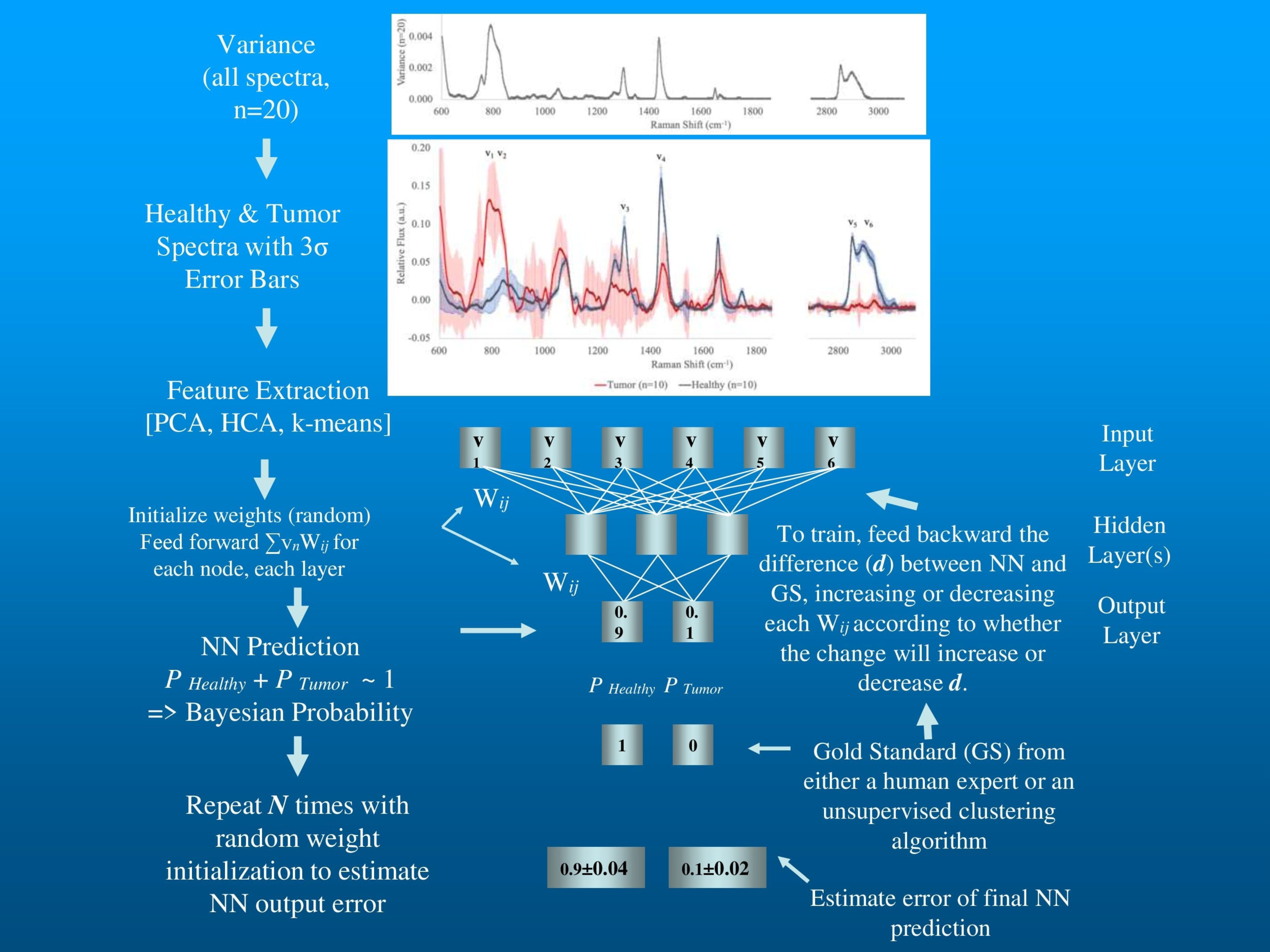 Sensors 20 06260 g003