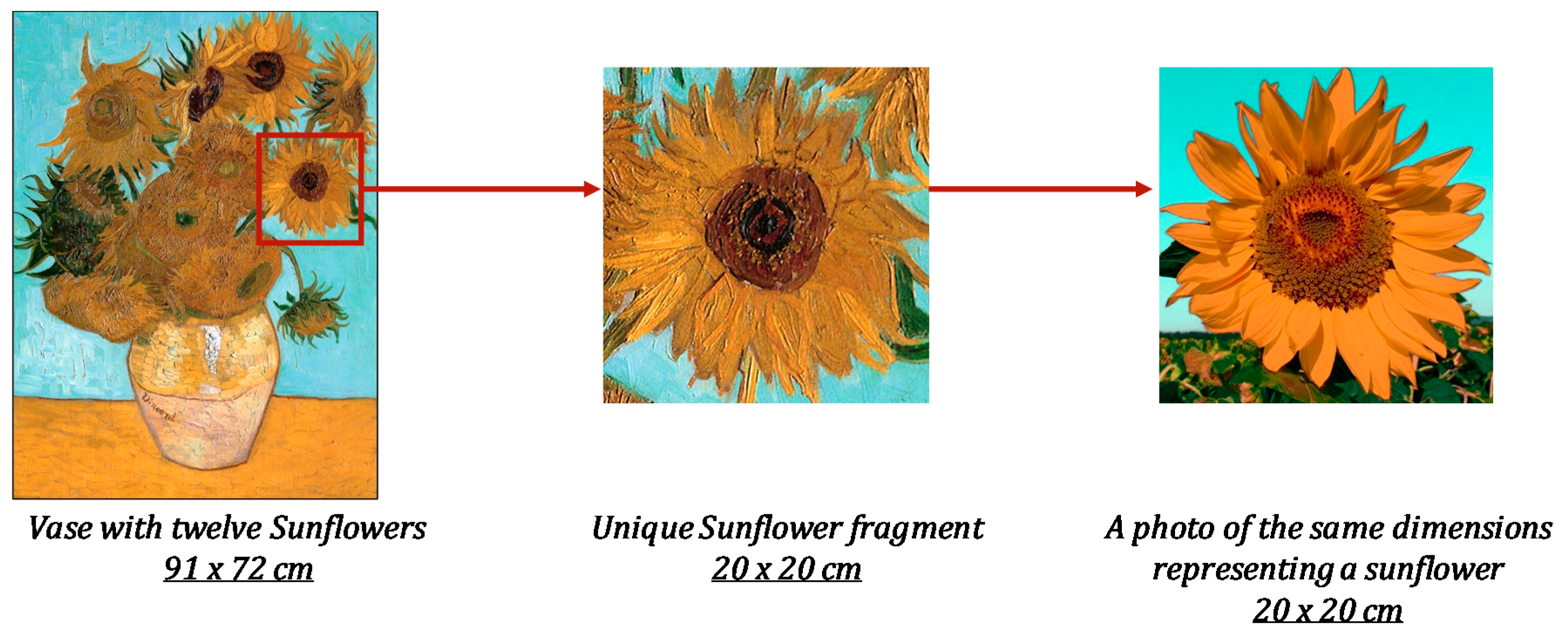 Sensors 20 06269 g004