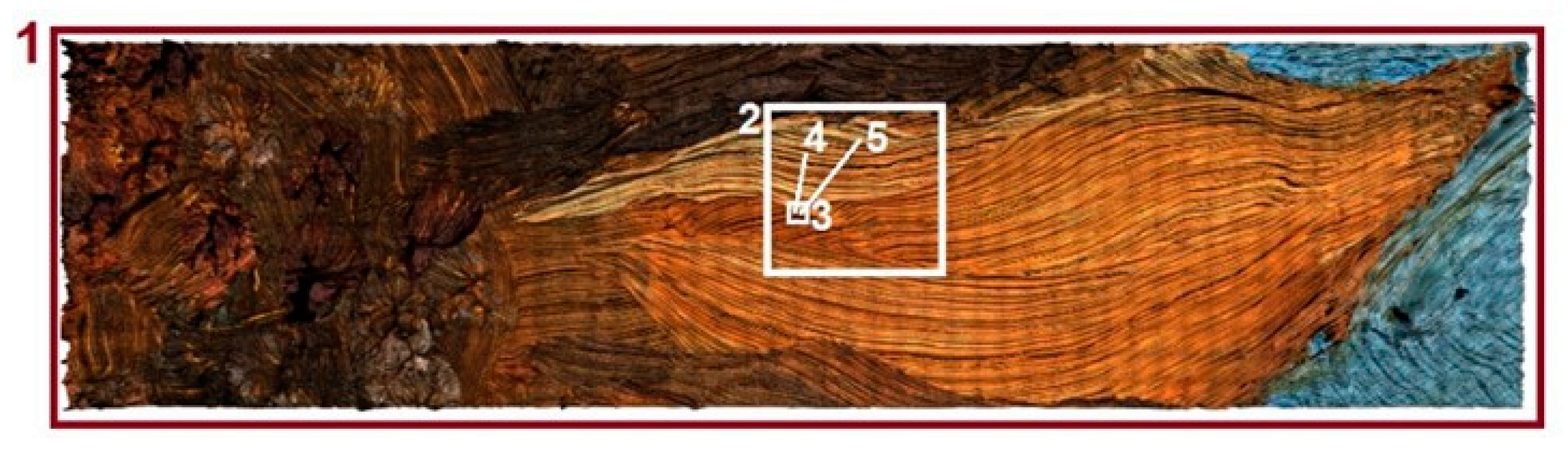 Sensors 20 06269 g007