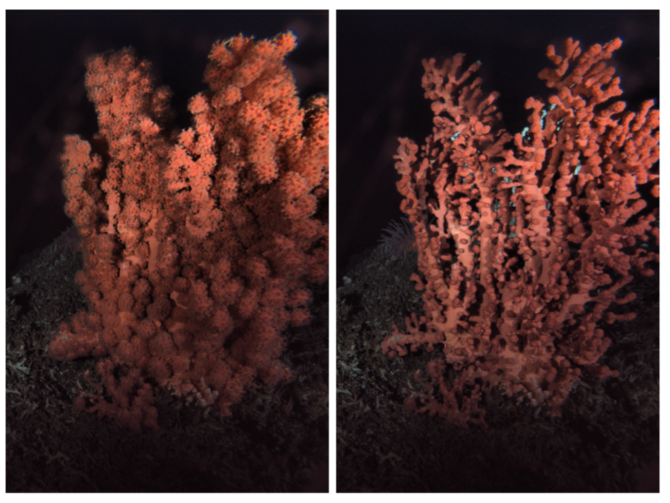 Sensors 20 06281 g003