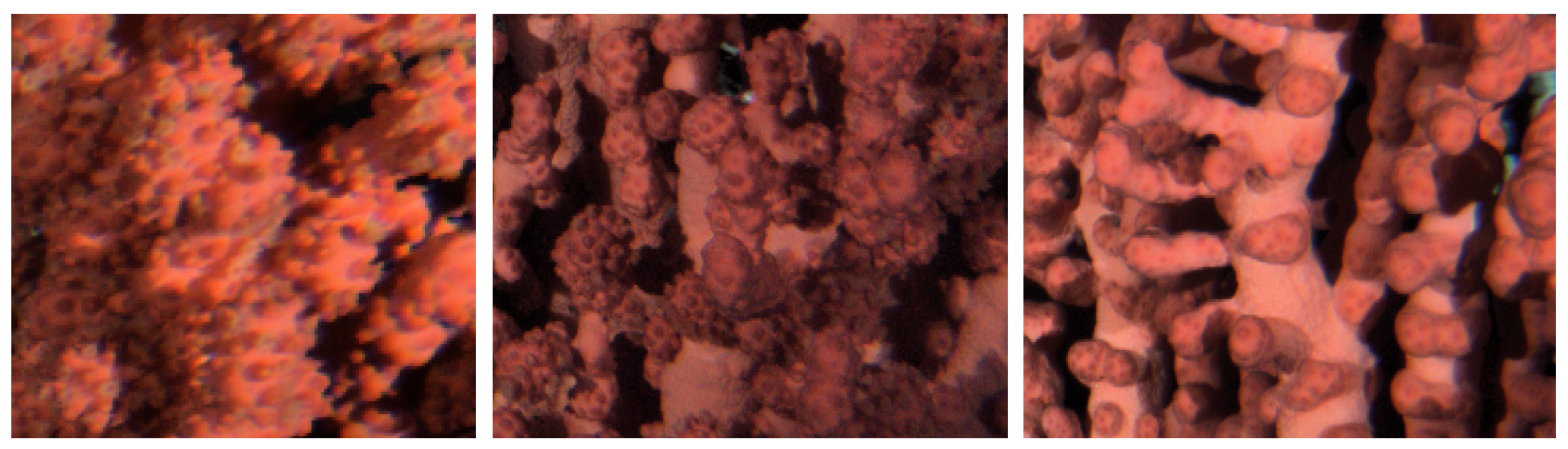 Sensors 20 06281 g004