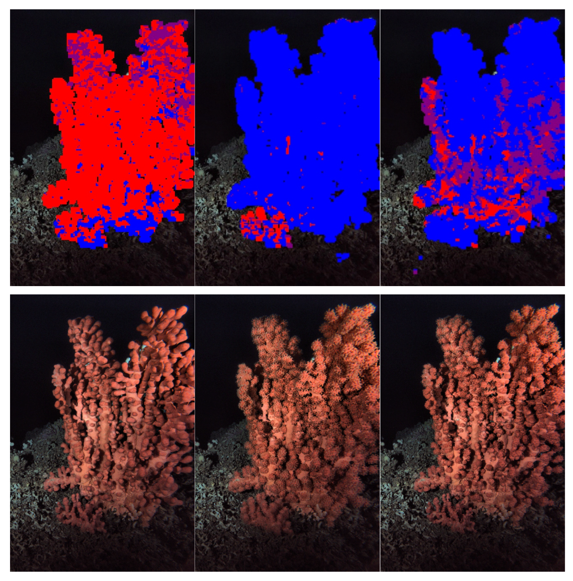 Sensors 20 06281 g008