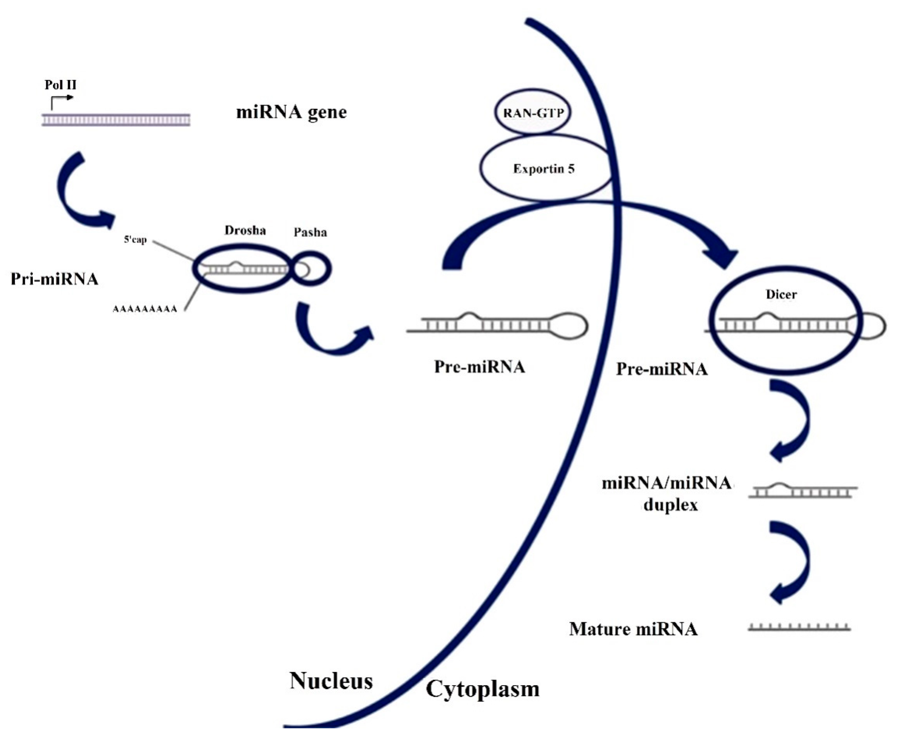 Sensors 20 06289 g001