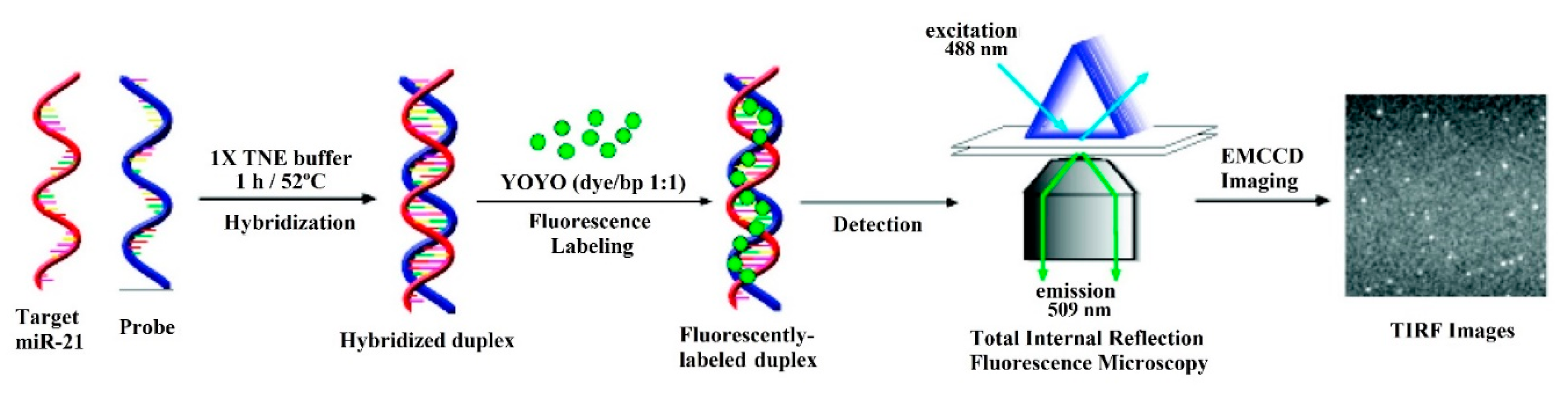 Sensors 20 06289 g002