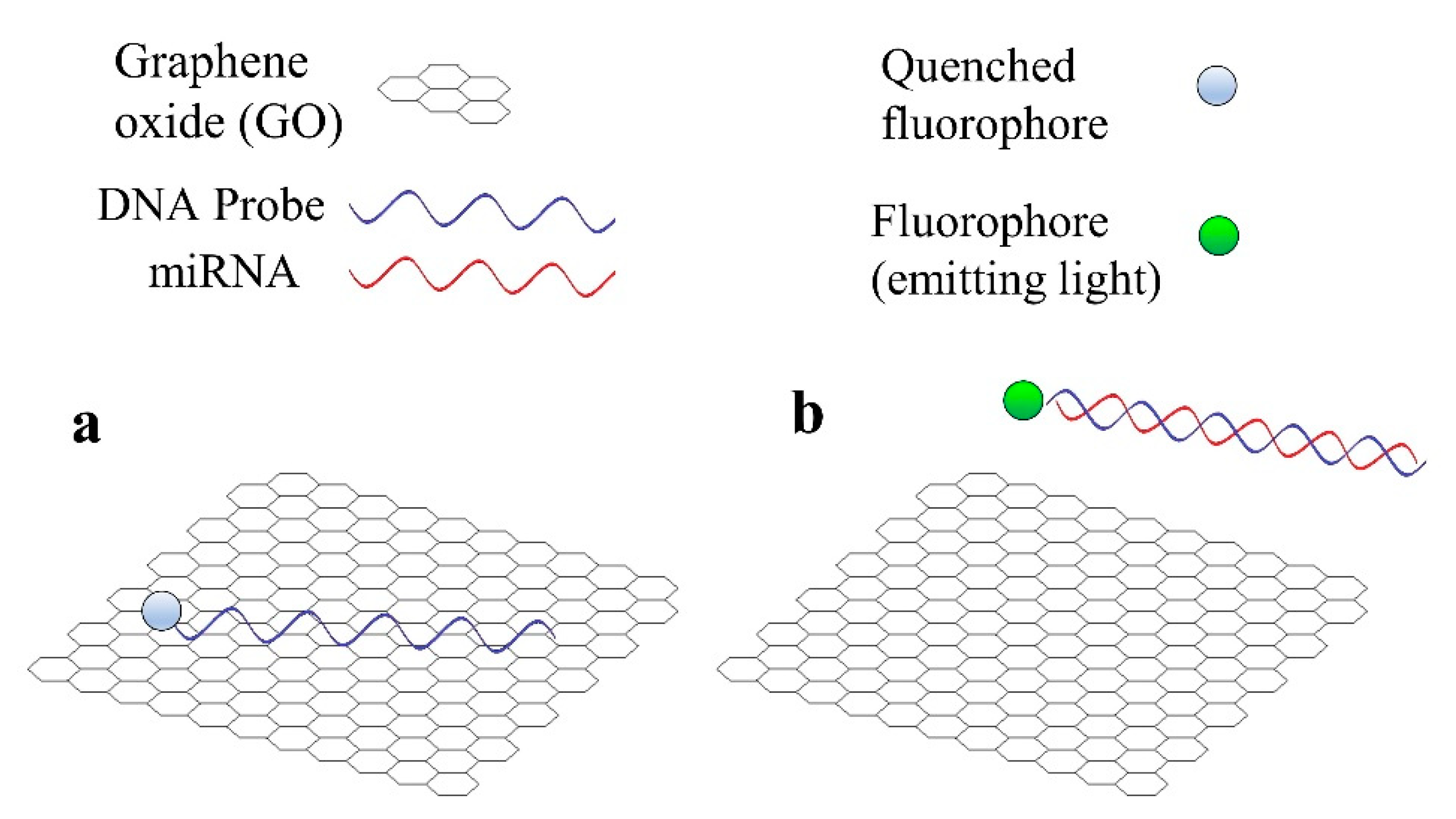 Sensors 20 06289 g003