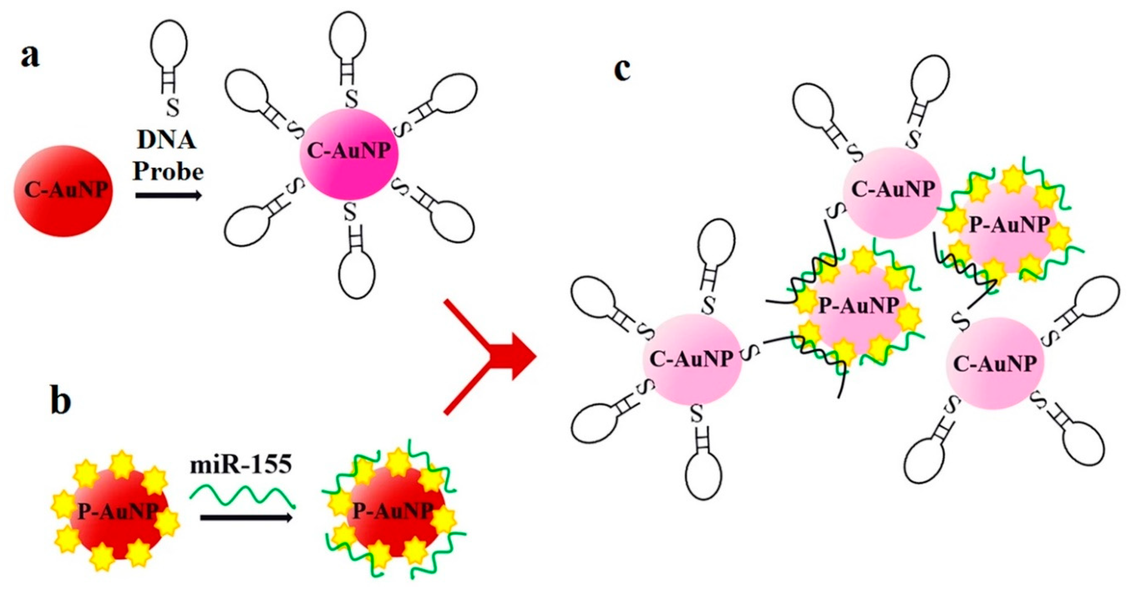 Sensors 20 06289 g008