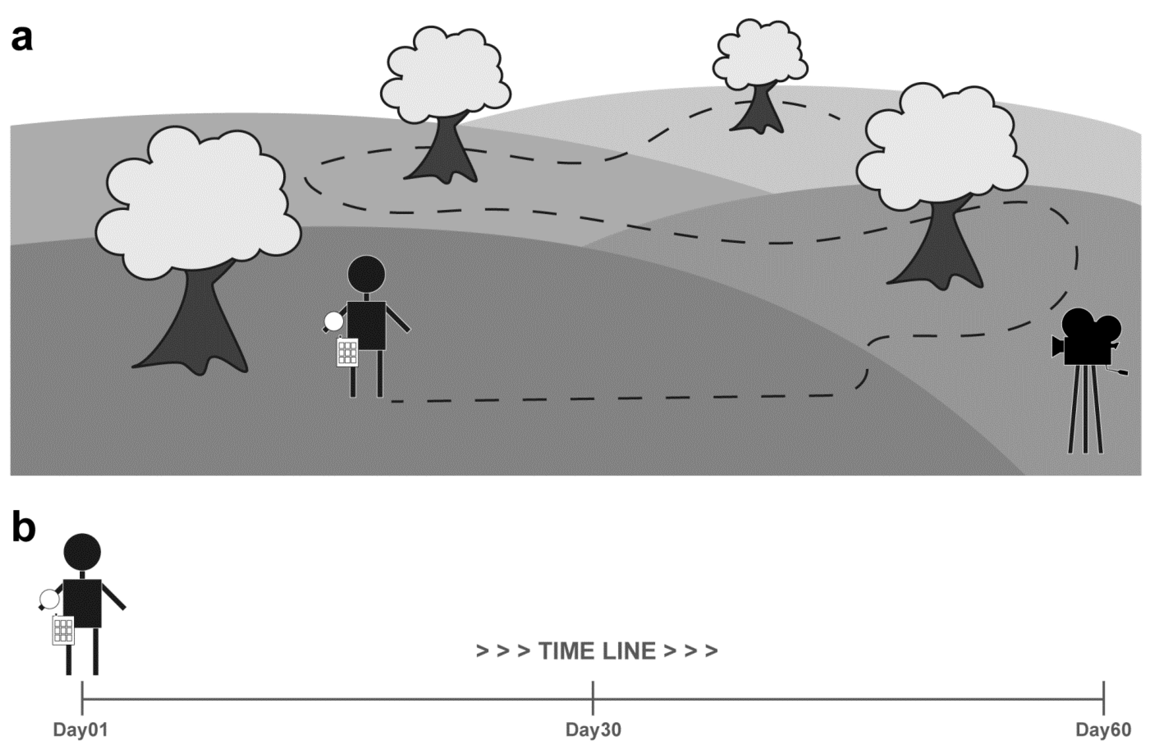 Sensors 20 06293 g001