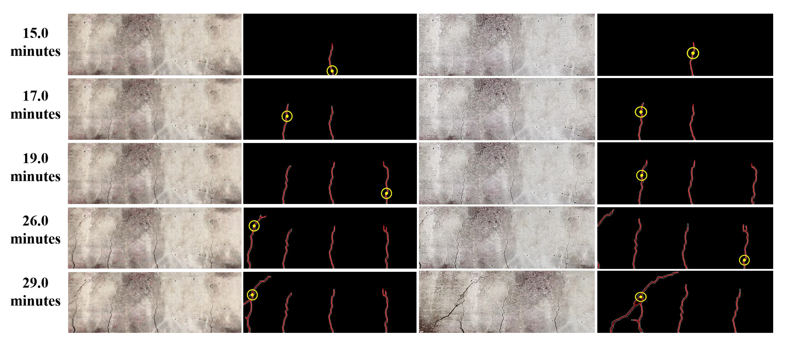 Sensors 20 06299 g010