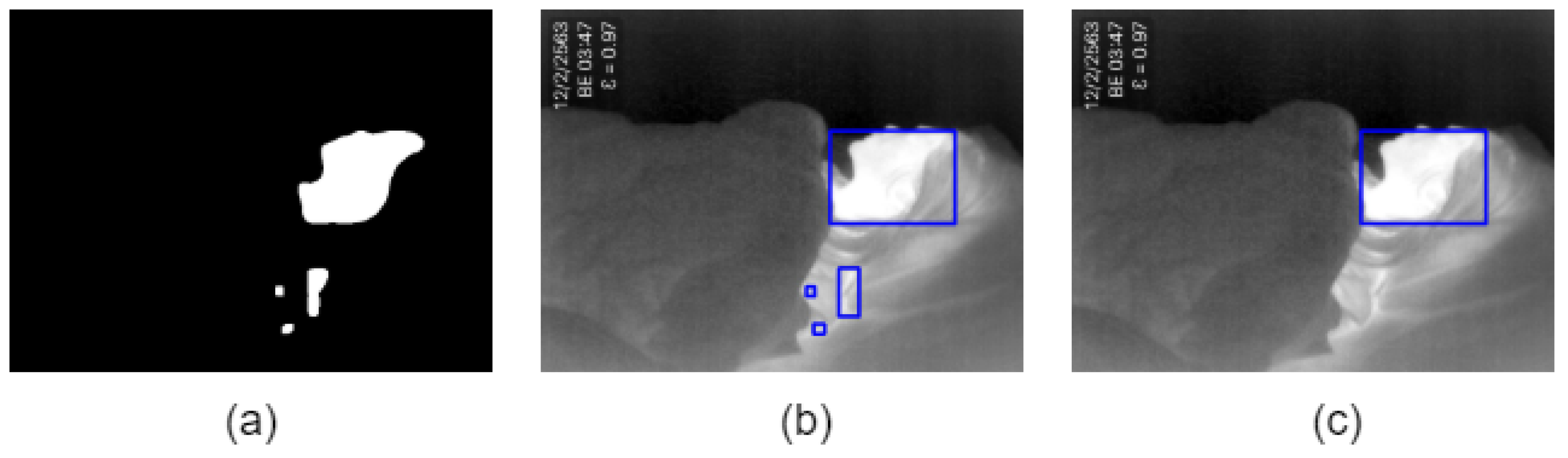 Sensors 20 06307 g003