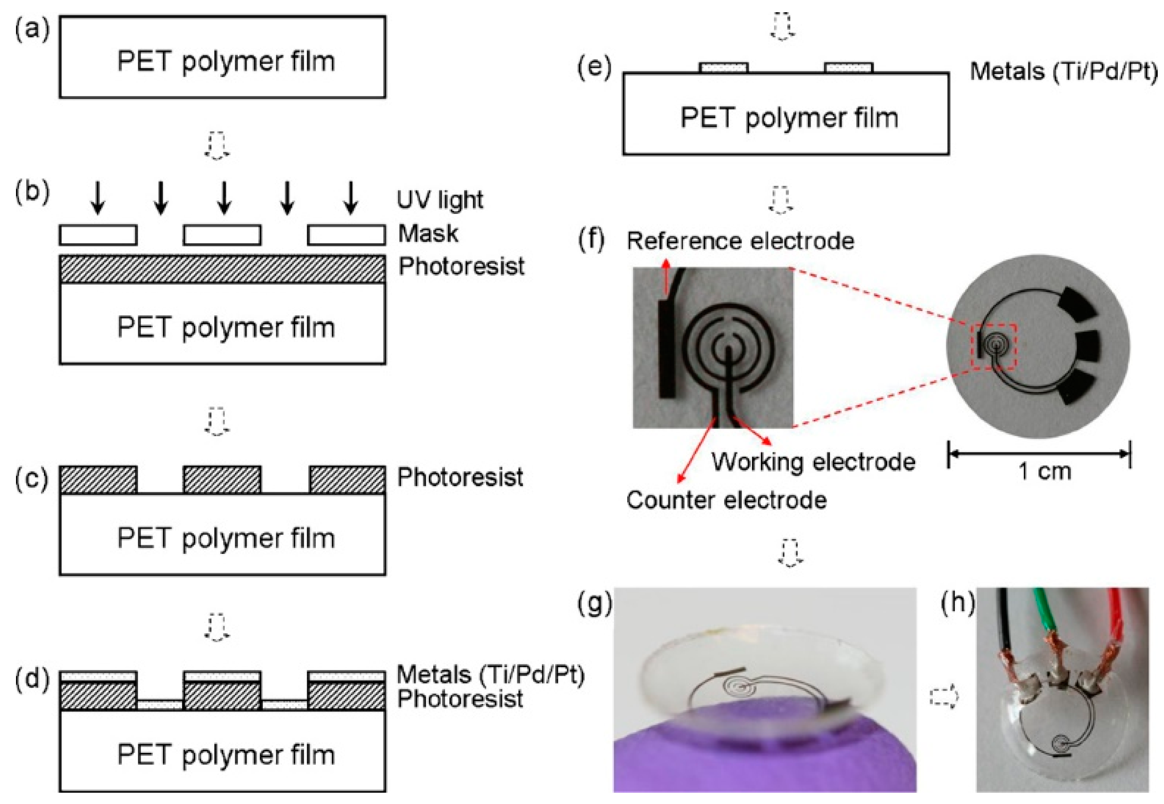Sensors 20 06352 g001