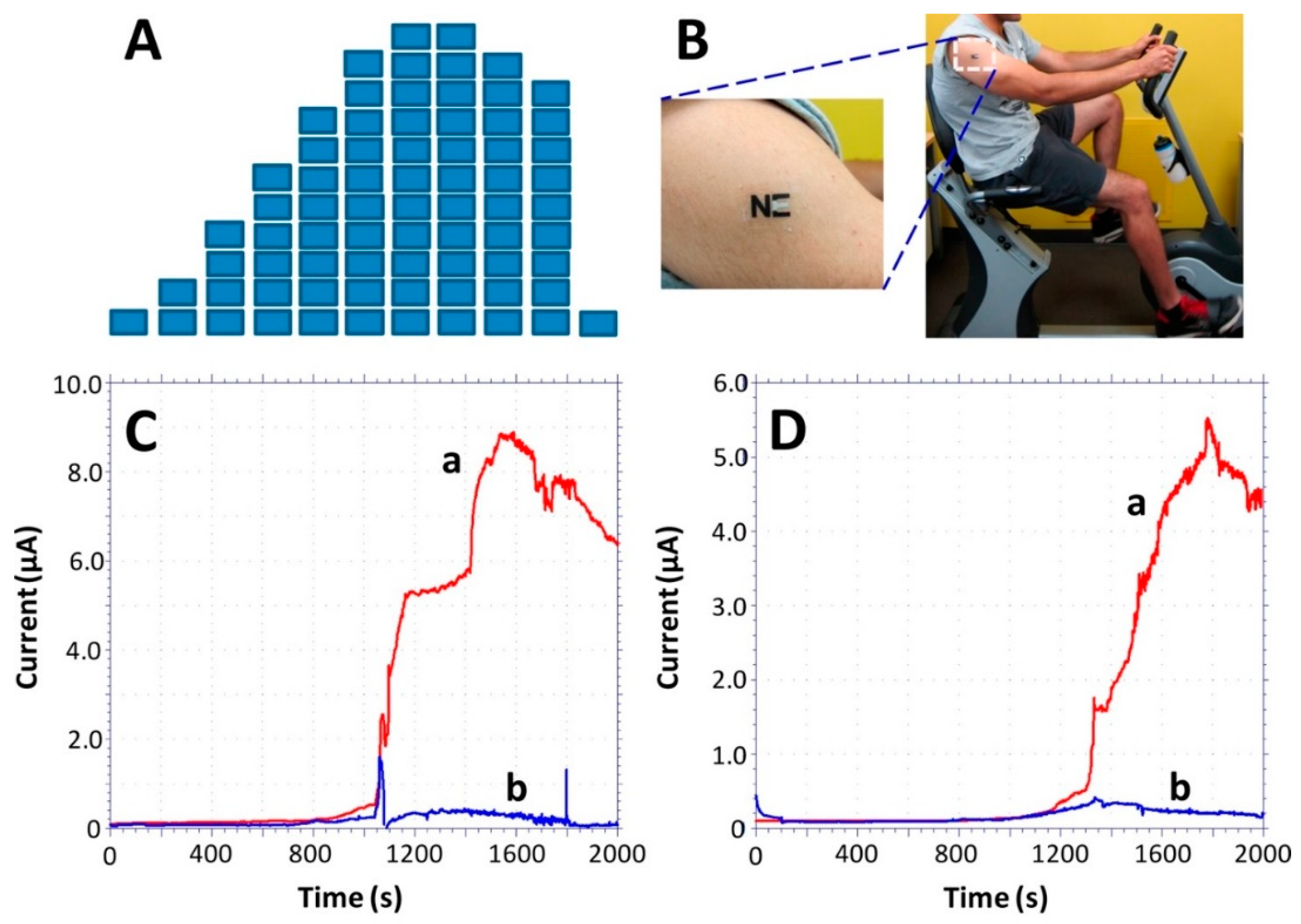 Sensors 20 06352 g005