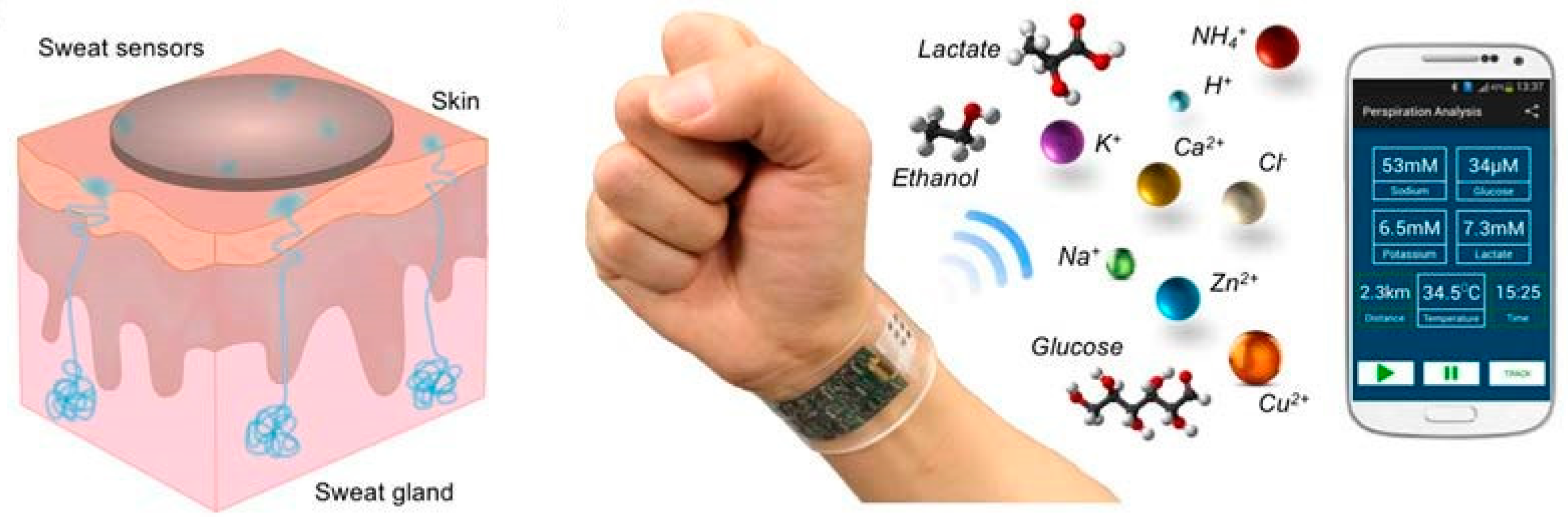 Sensors 20 06352 g007