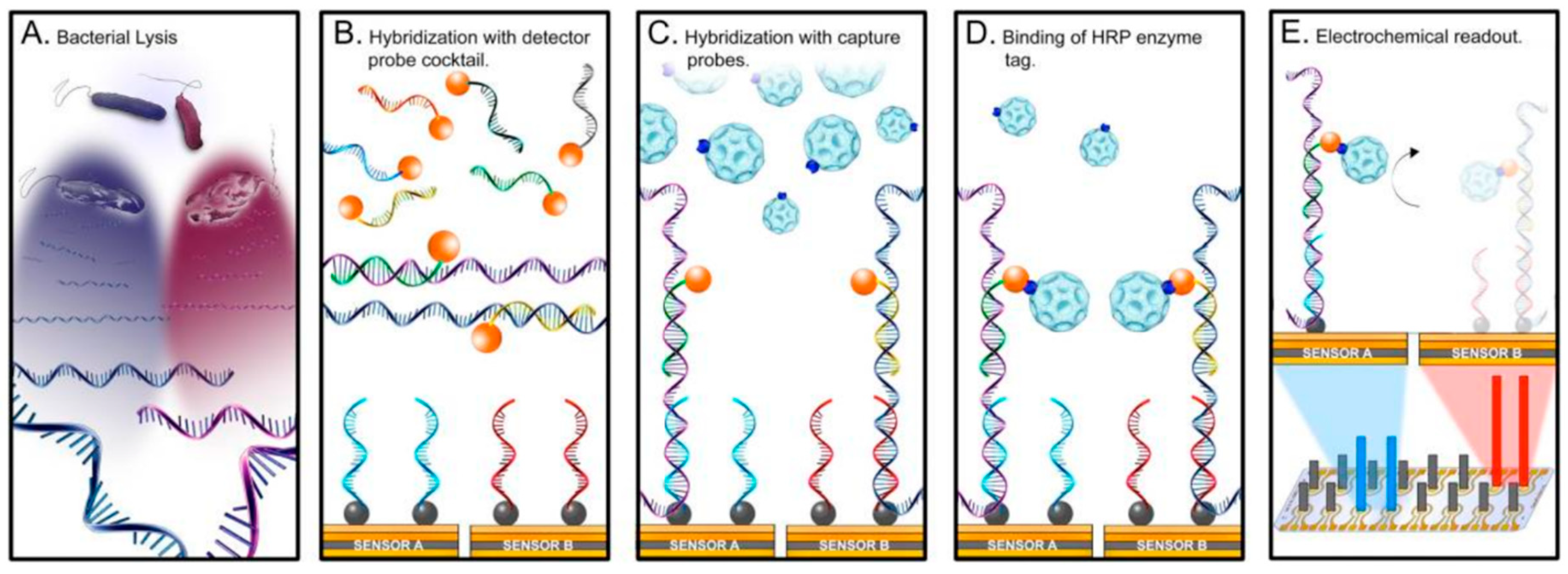 Sensors 20 06352 g009
