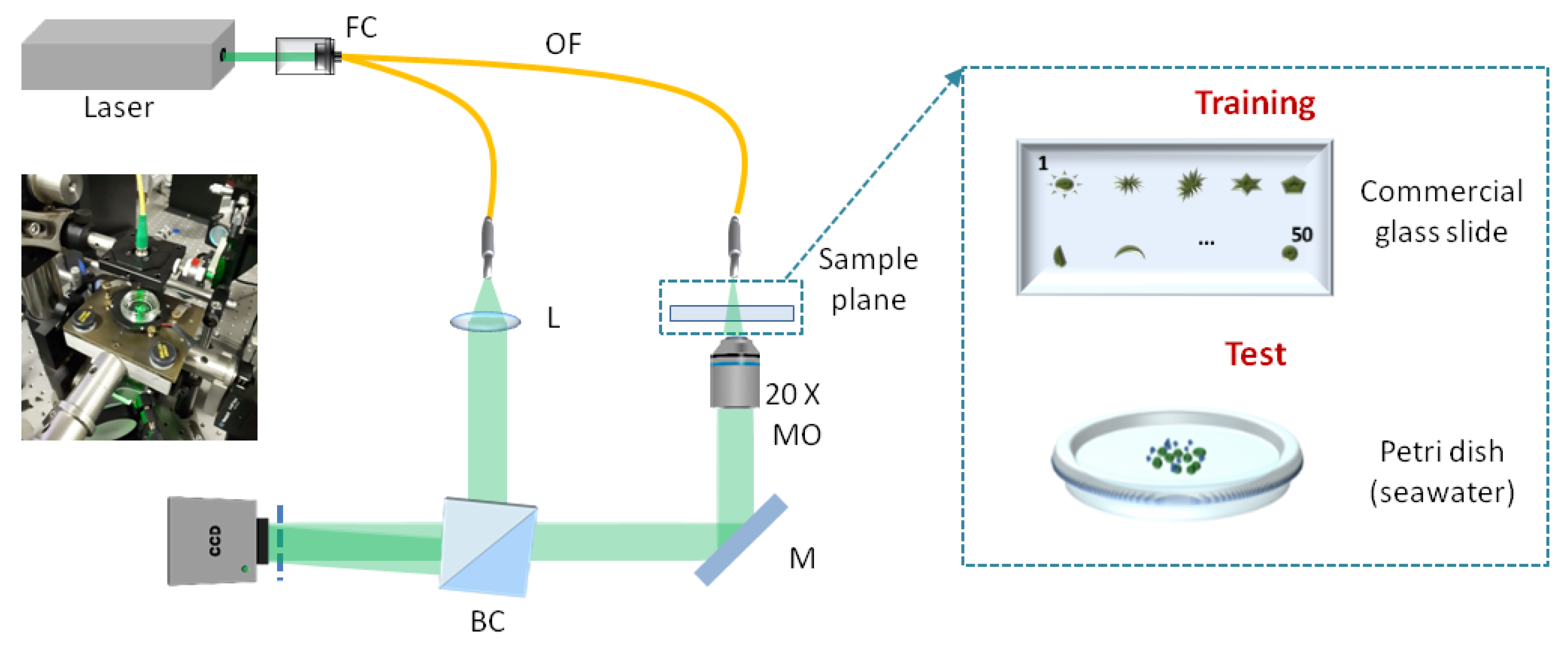 Sensors 20 06353 g001