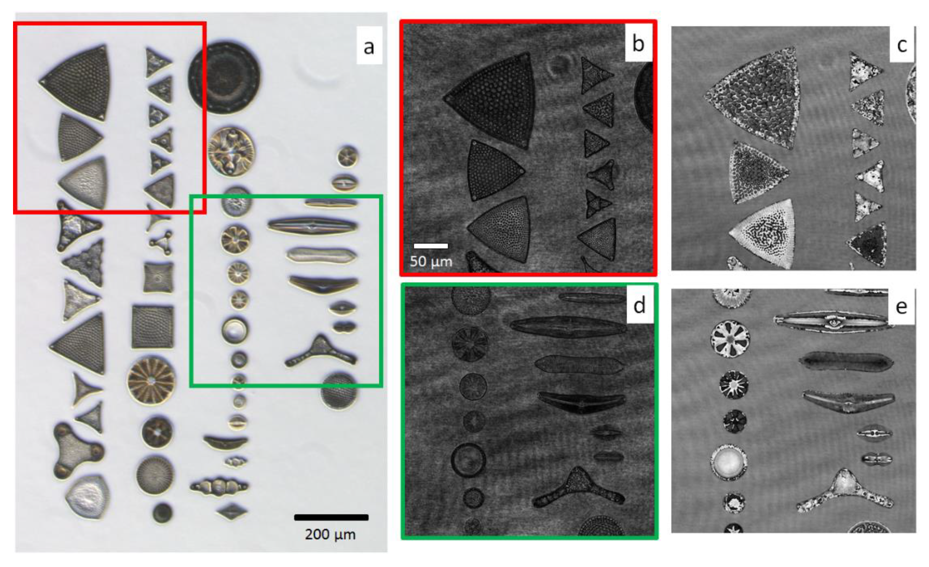Sensors 20 06353 g003