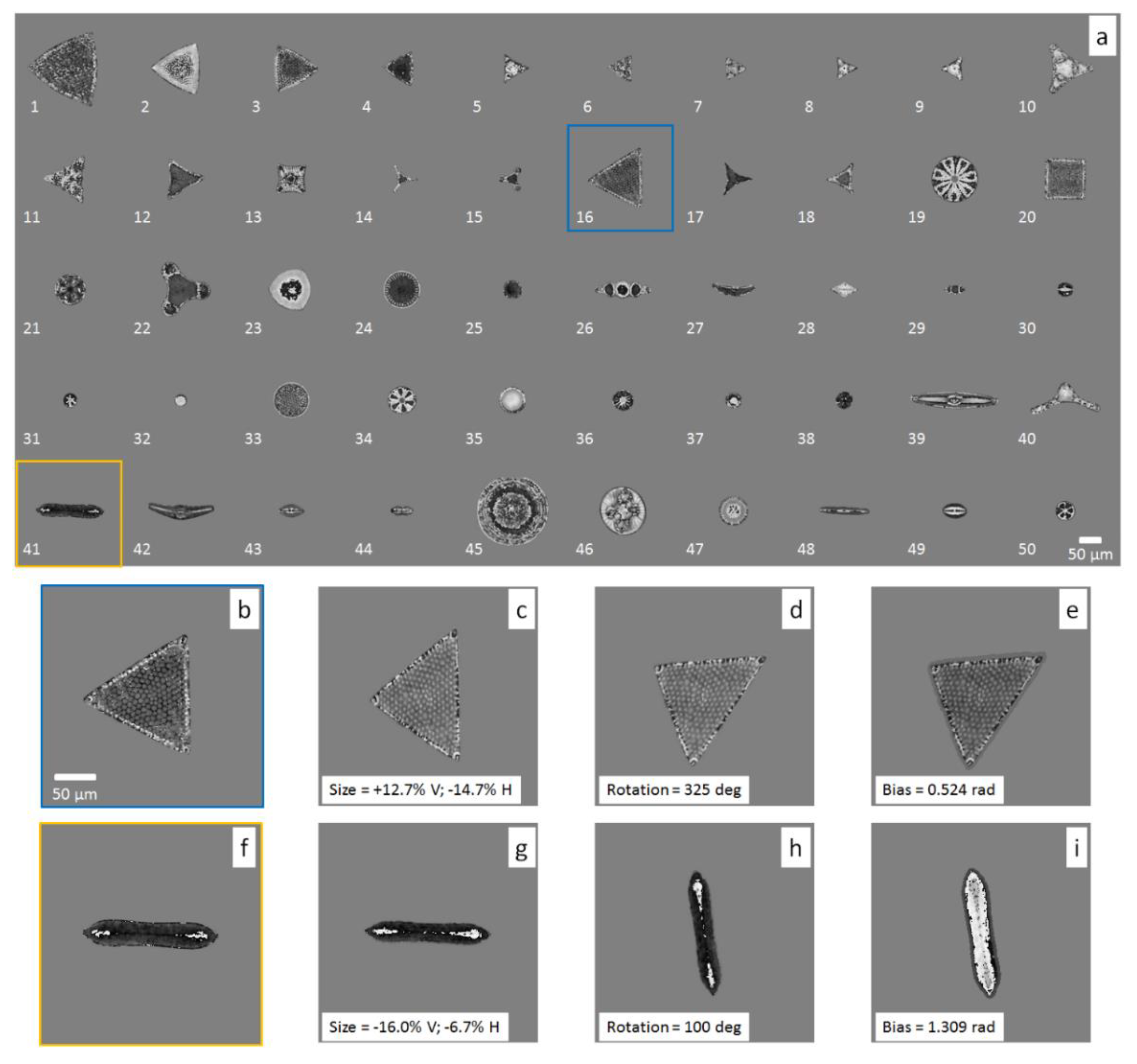 Sensors 20 06353 g004