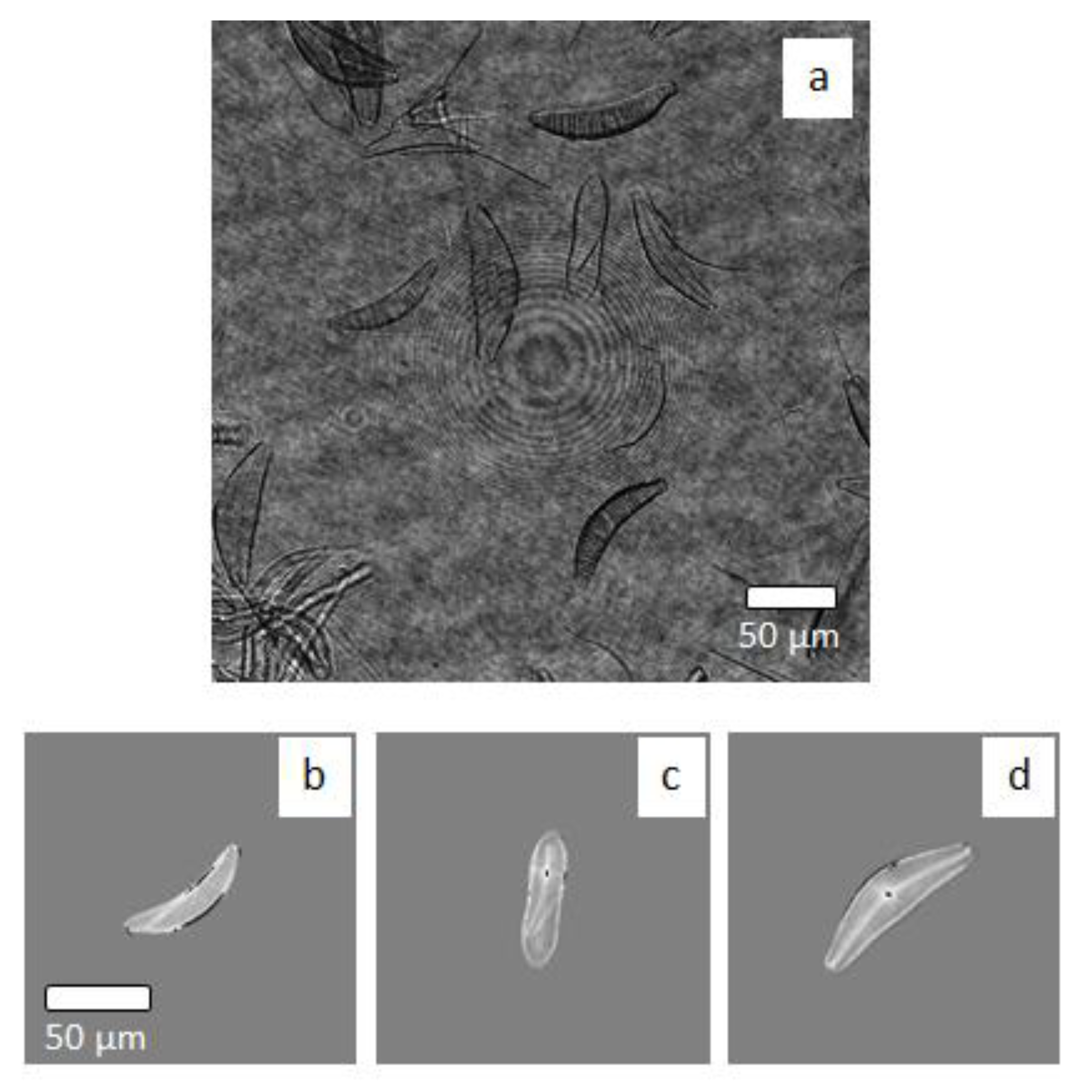Sensors 20 06353 g005