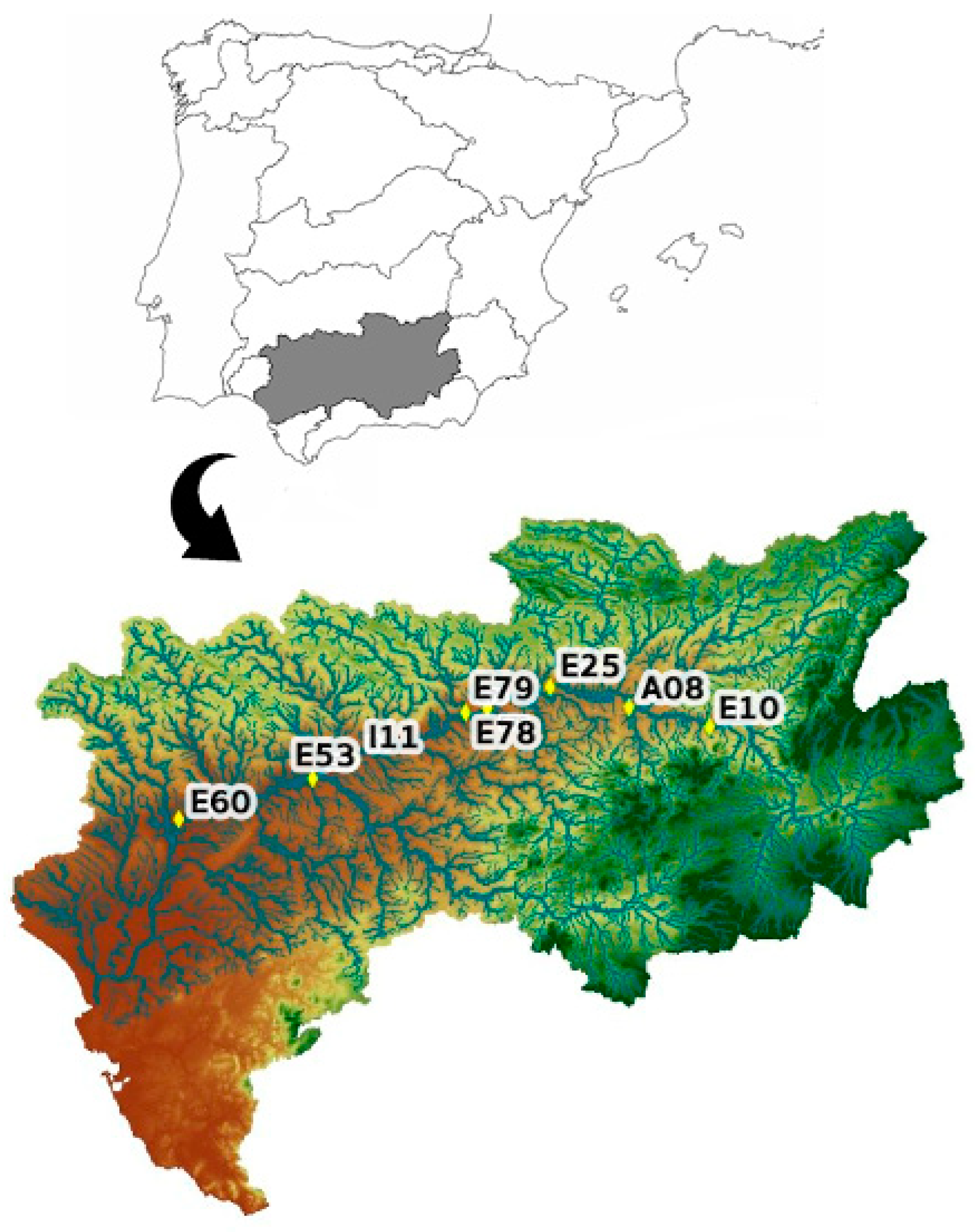 Sensors 20 06354 g001