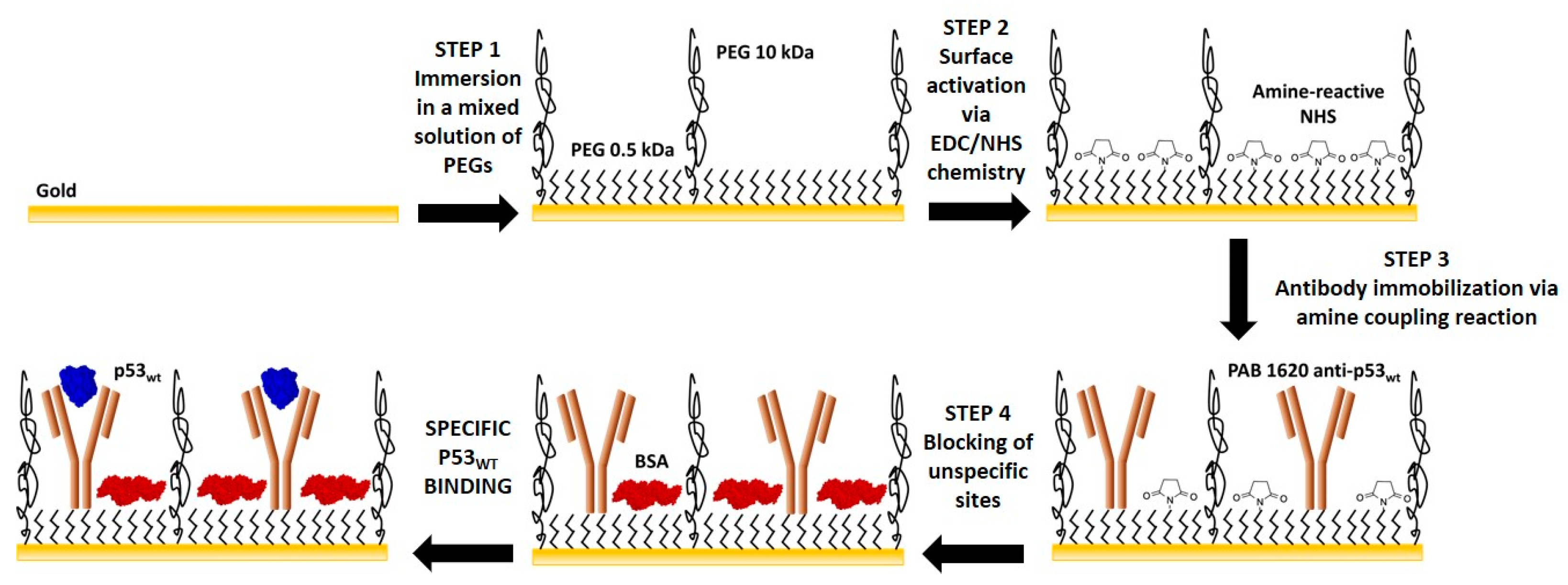 Sensors 20 06364 g002 Sensors 20 06364 g002