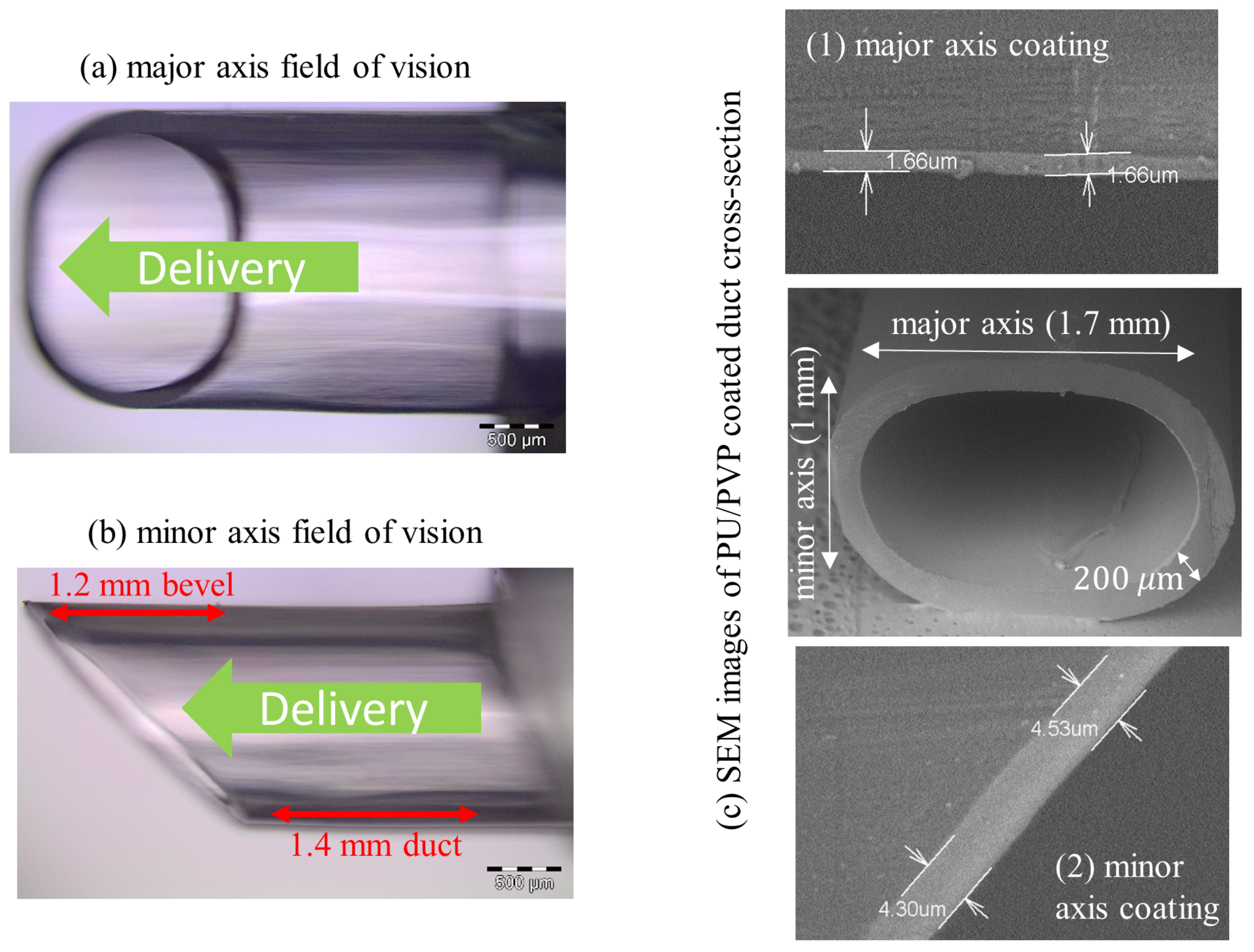 Sensors 20 06408 g001
