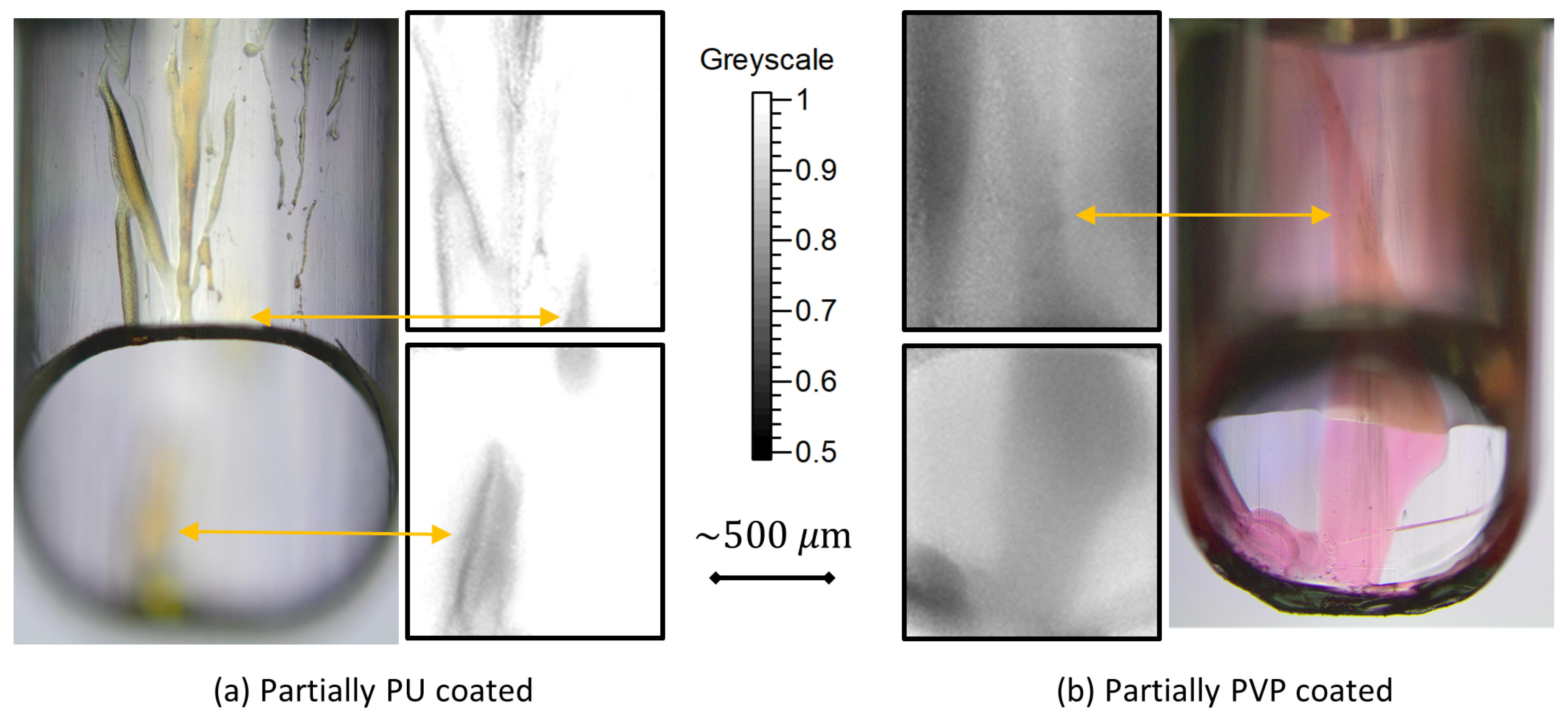Sensors 20 06408 g005