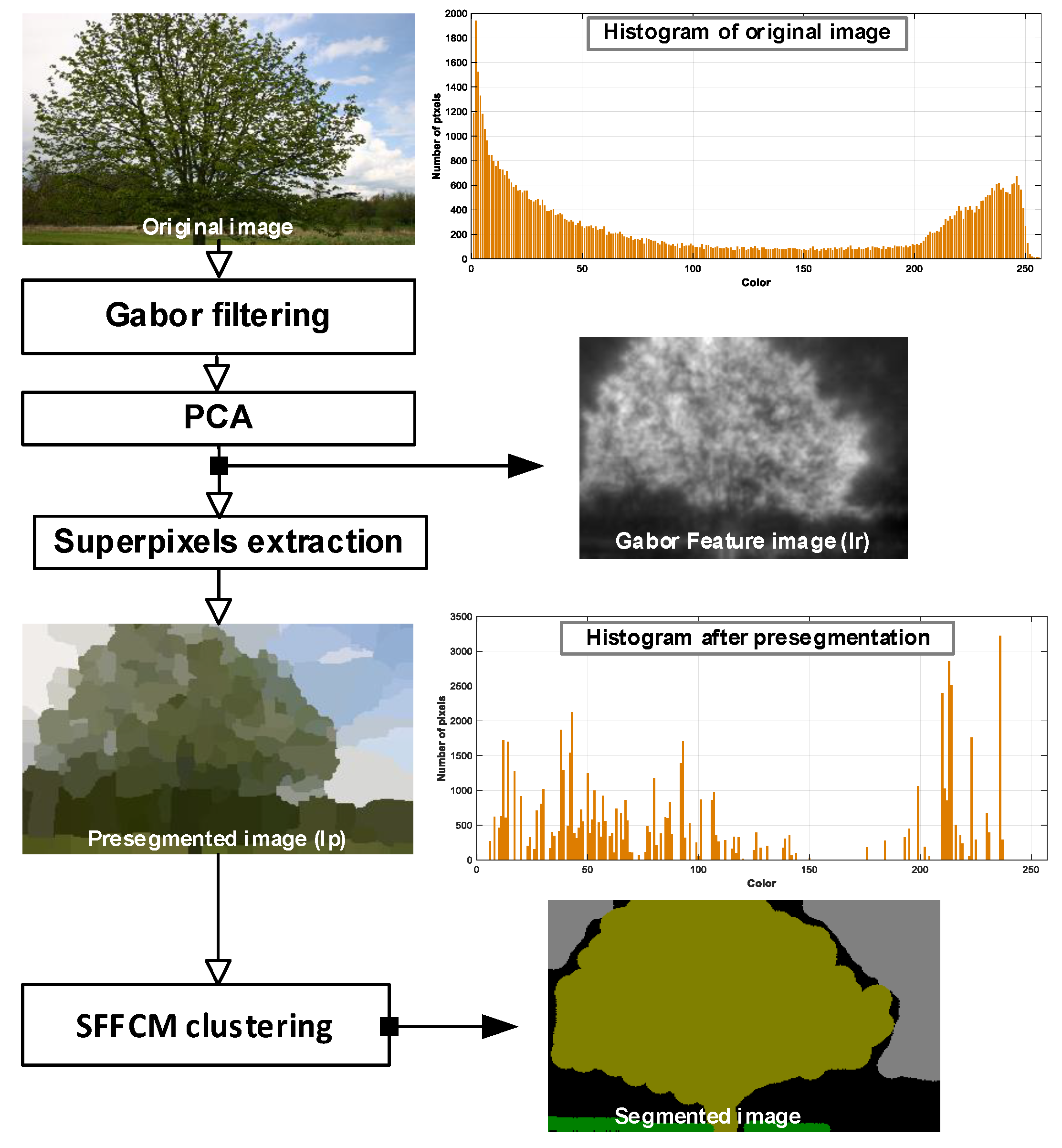 Sensors 20 06429 g008