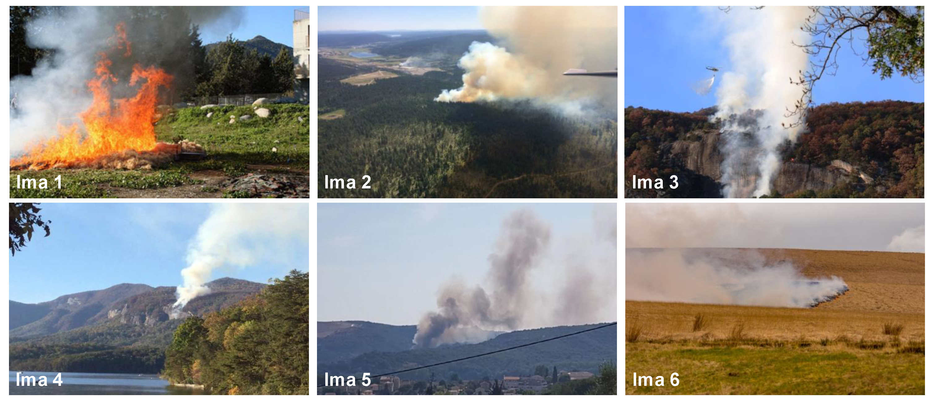 Sensors 20 06429 g012