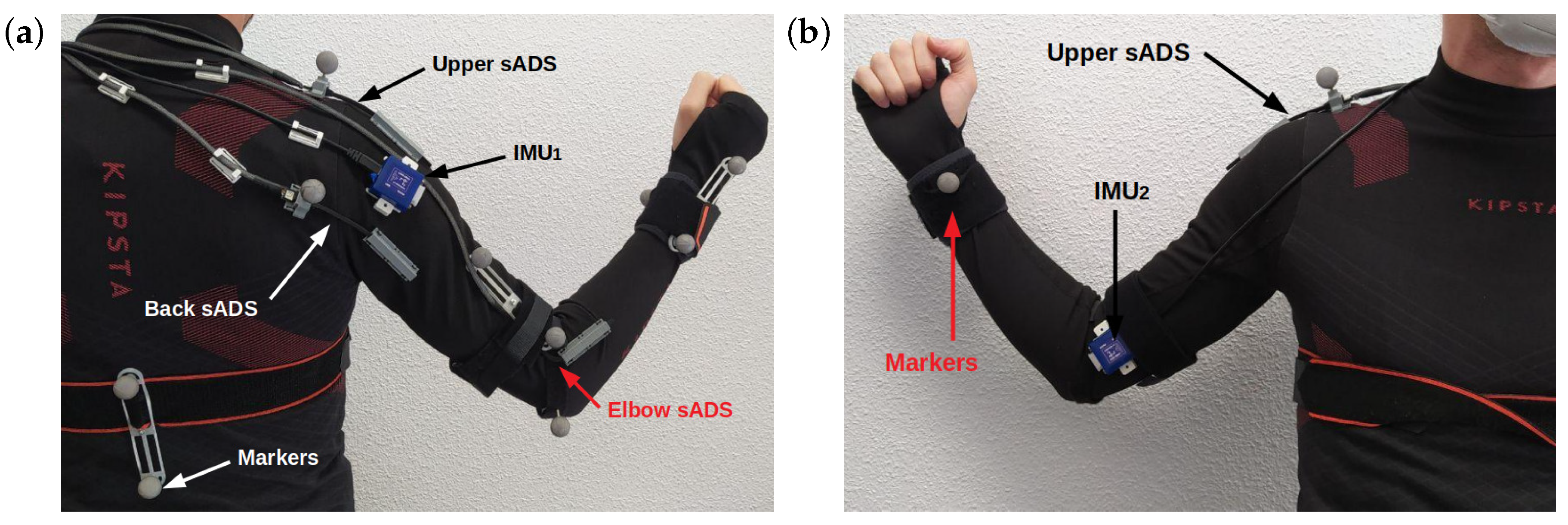 Sensors 20 06452 g003