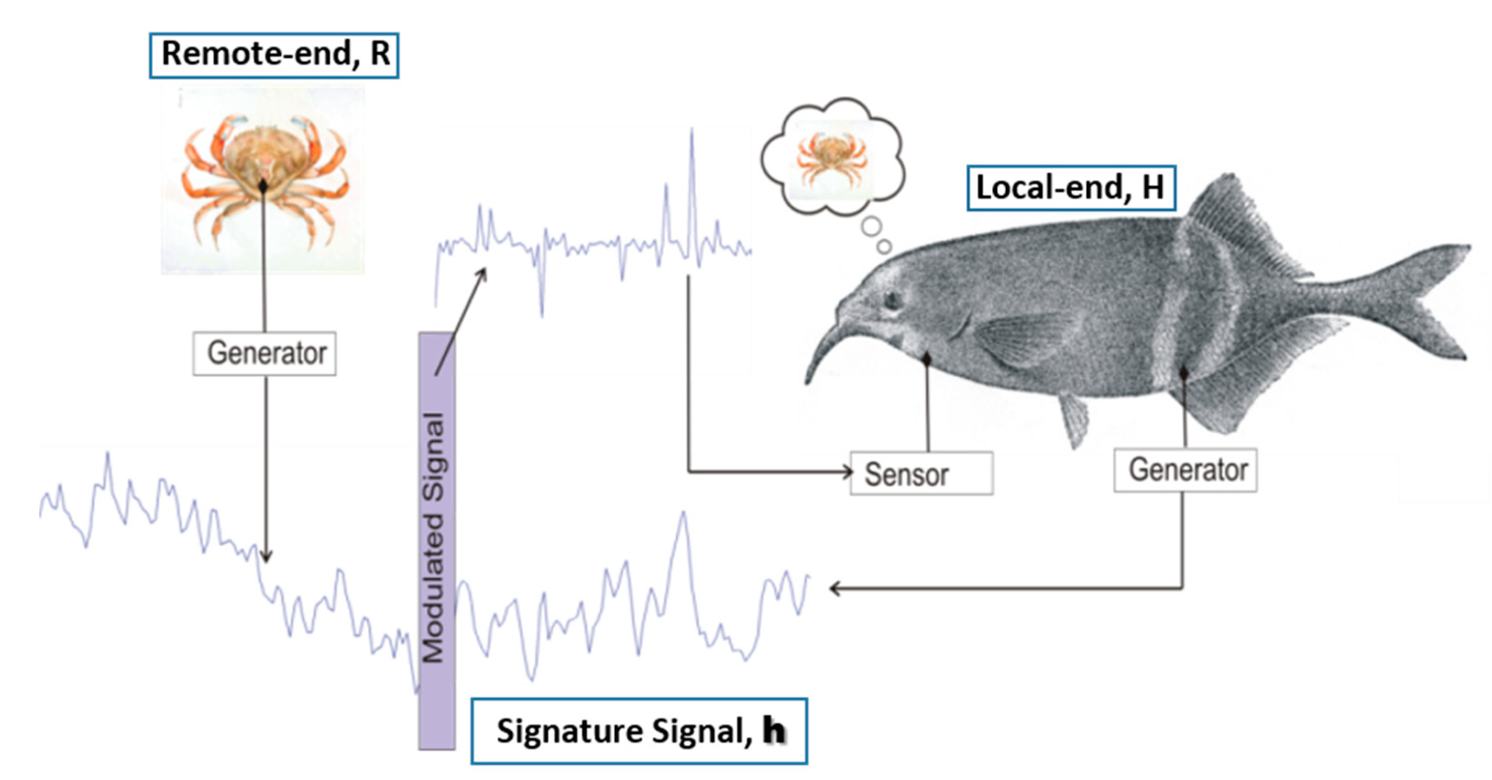 Sensors 20 06461 g002 Sensors 20 06461 g002