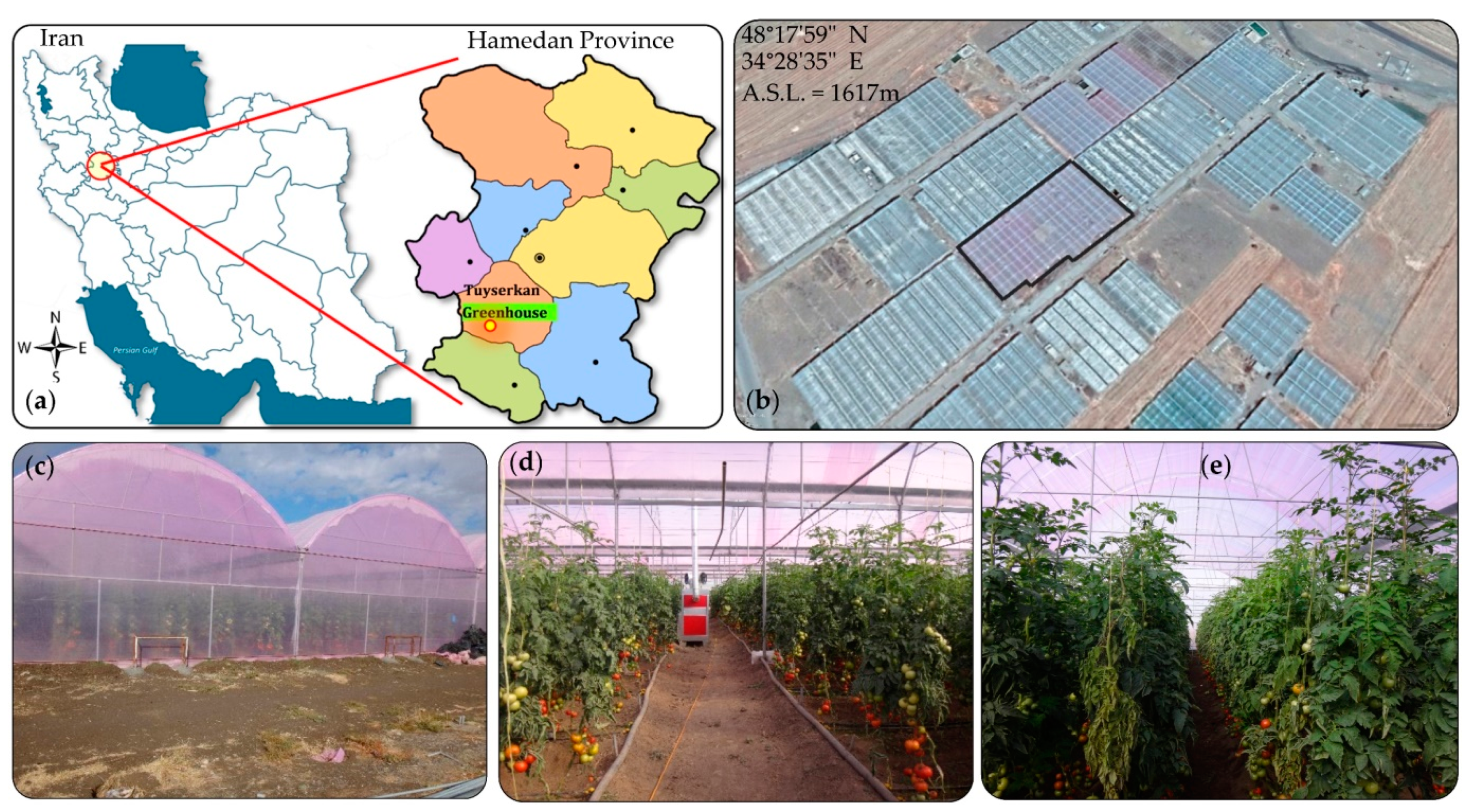 Sensors 20 06474 g001