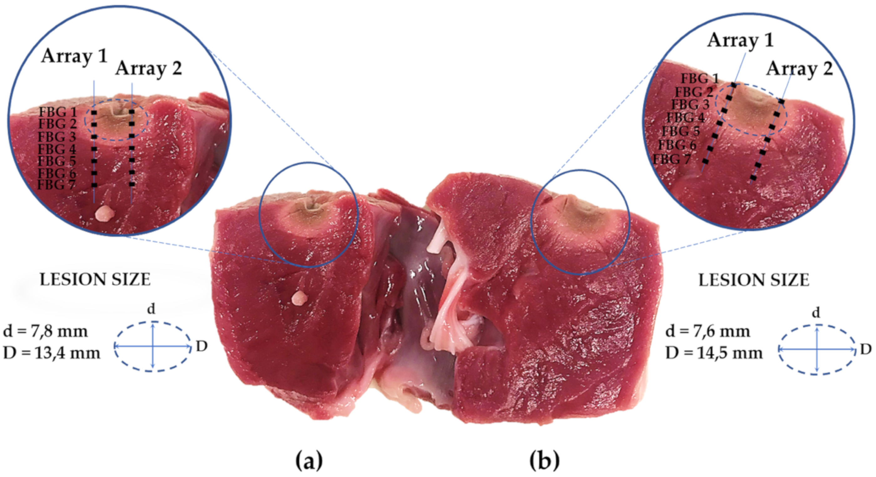 Sensors 20 06490 g010