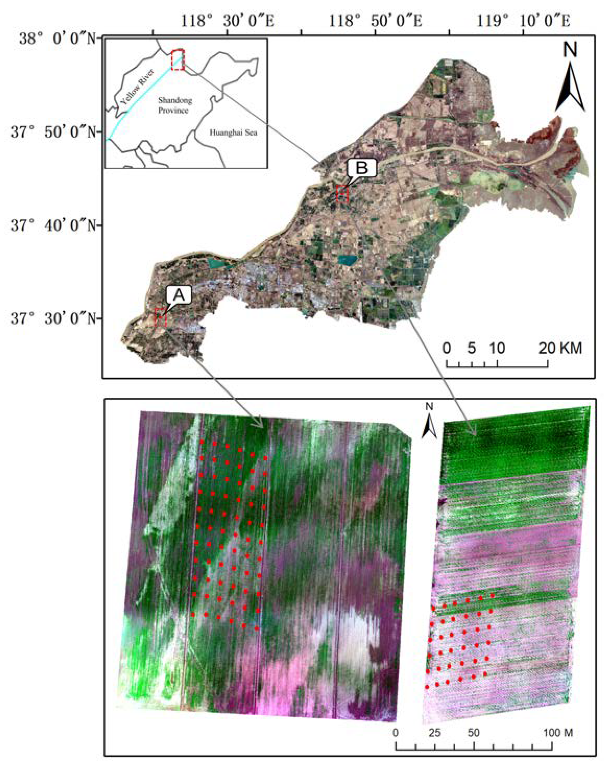 Sensors 20 06521 g001
