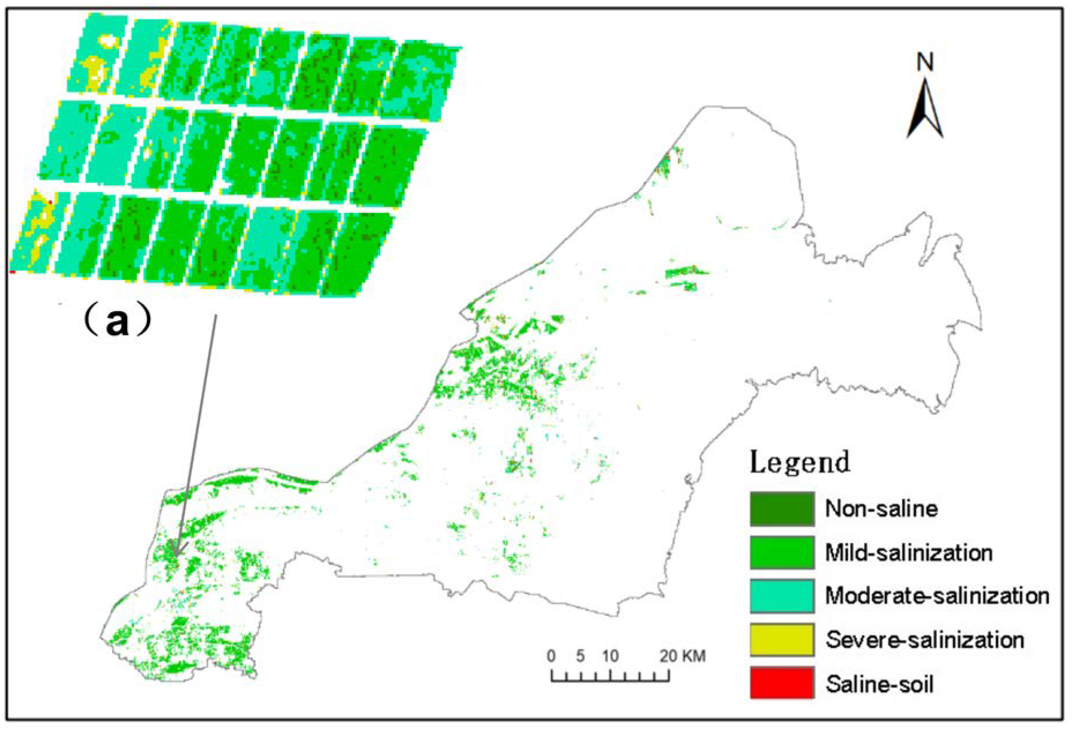 Sensors 20 06521 g007