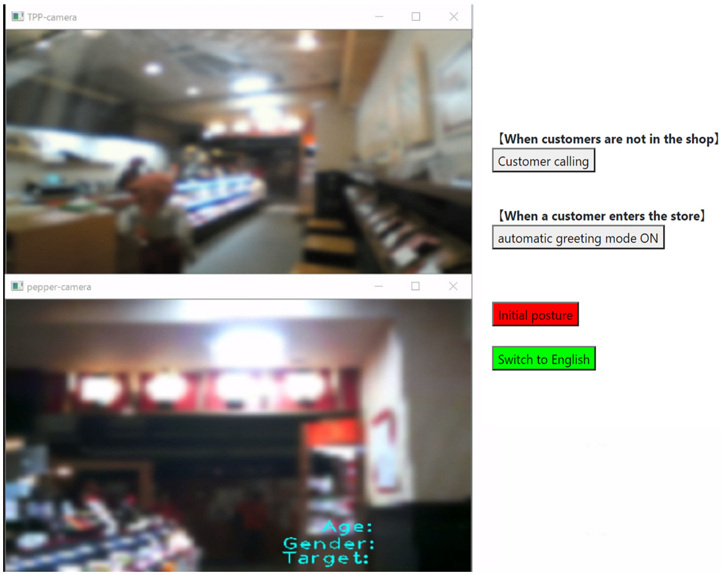 Sensors 20 06529 g021