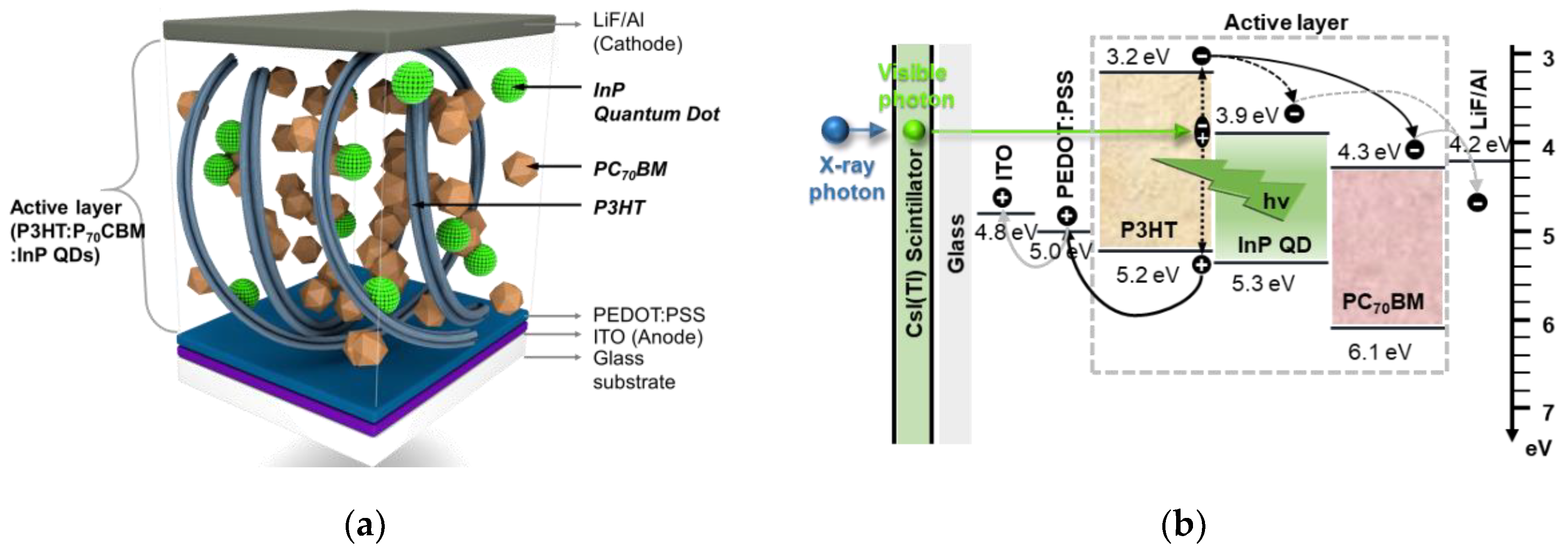 Sensors 20 06562 g001