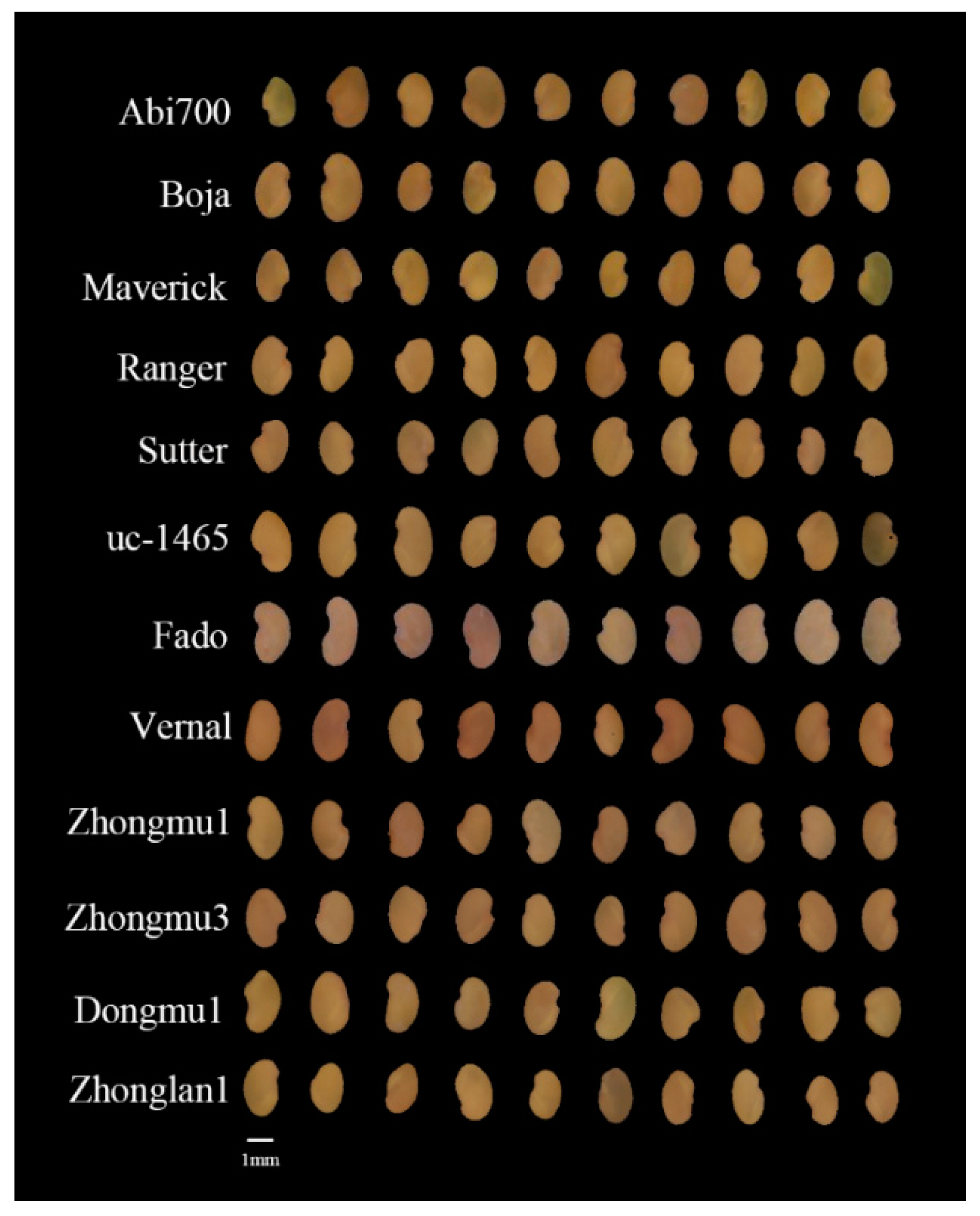 Sensors 20 06575 g001