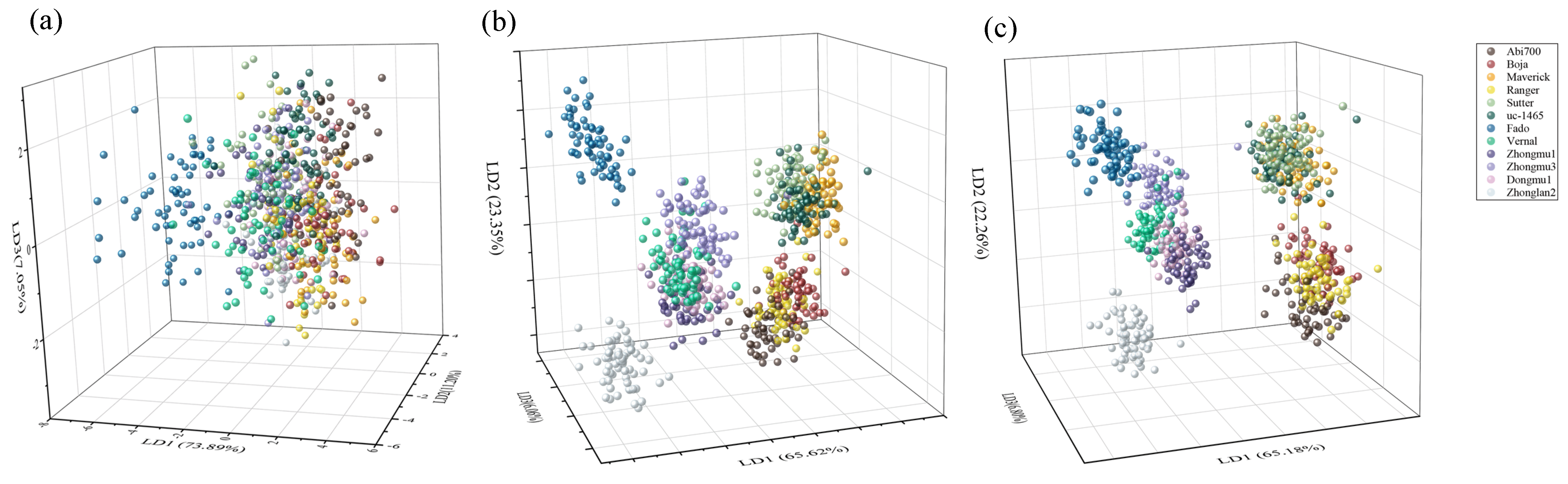 Sensors 20 06575 g004