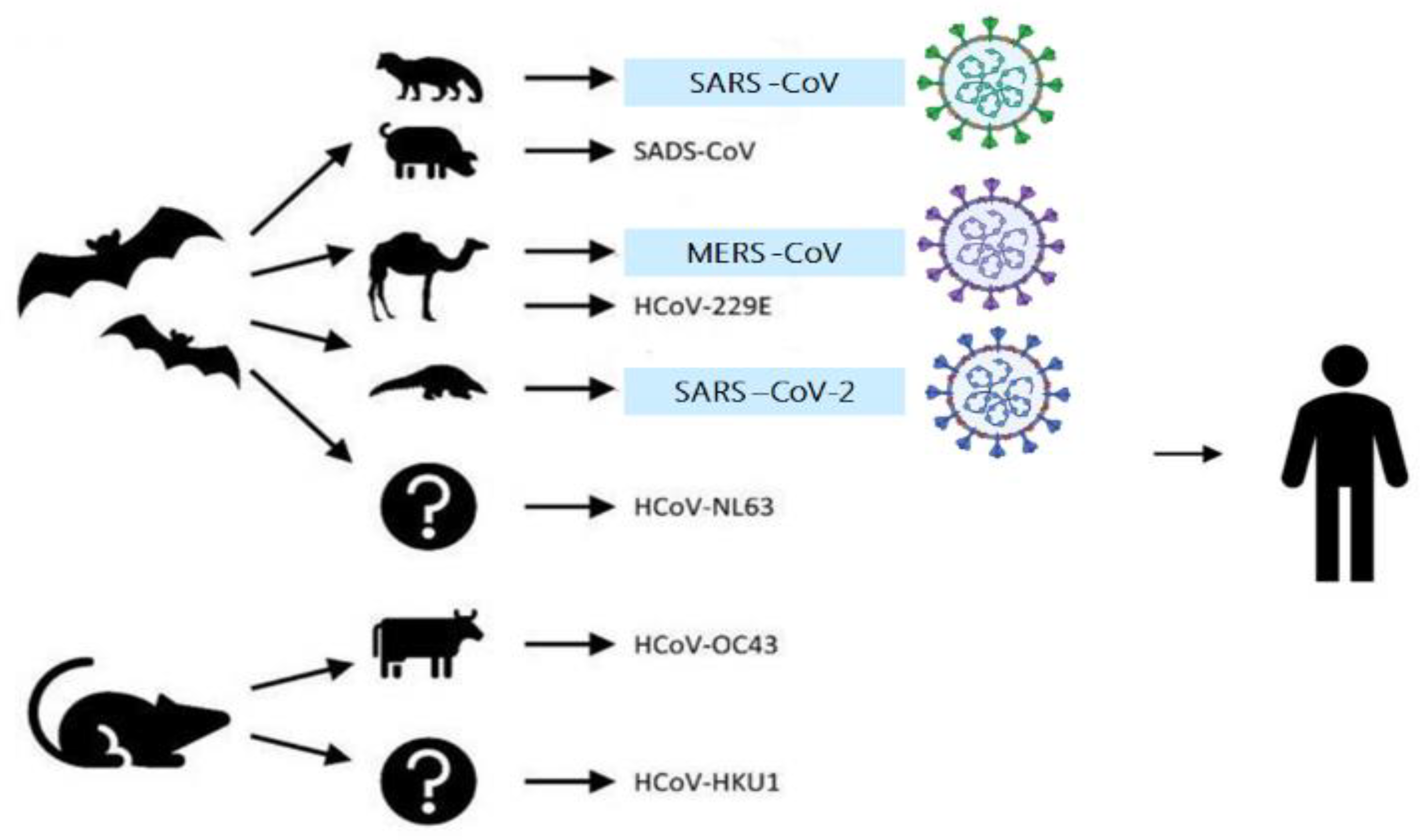Sensors 20 06591 g001