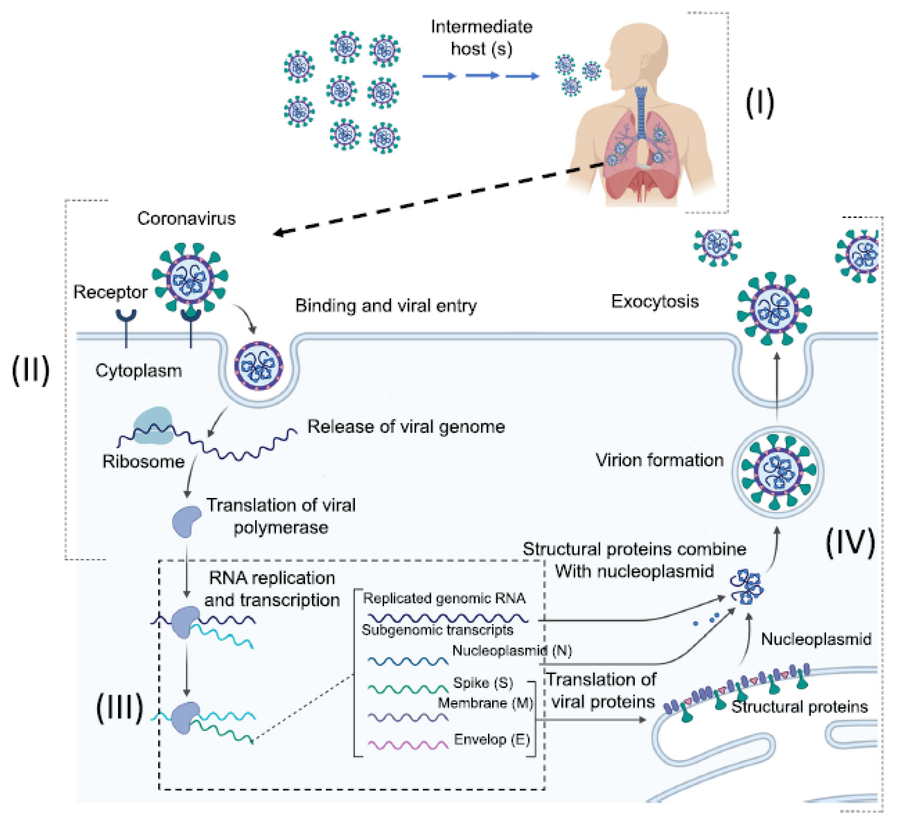 Sensors 20 06591 g004