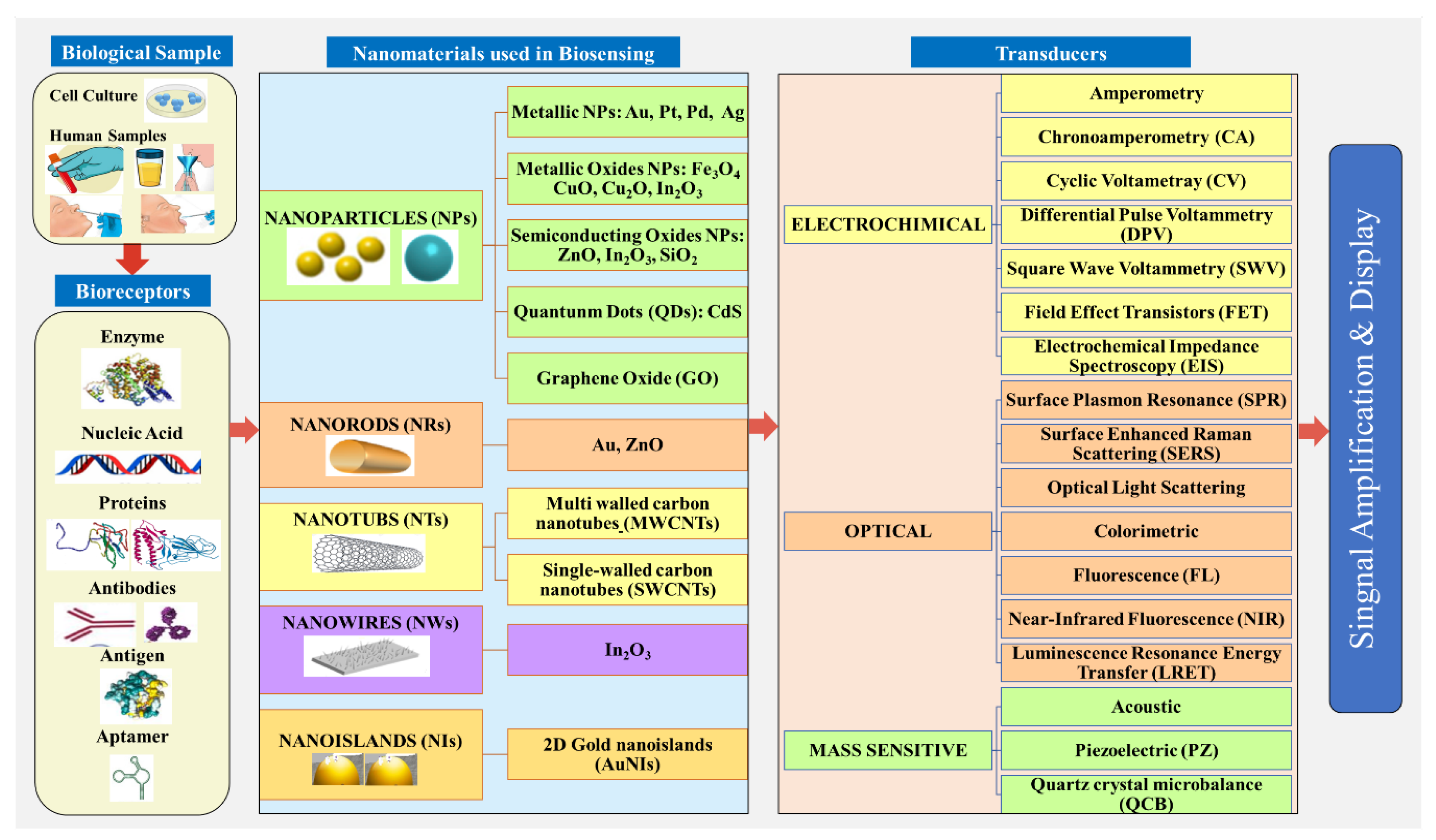 Sensors 20 06591 g005