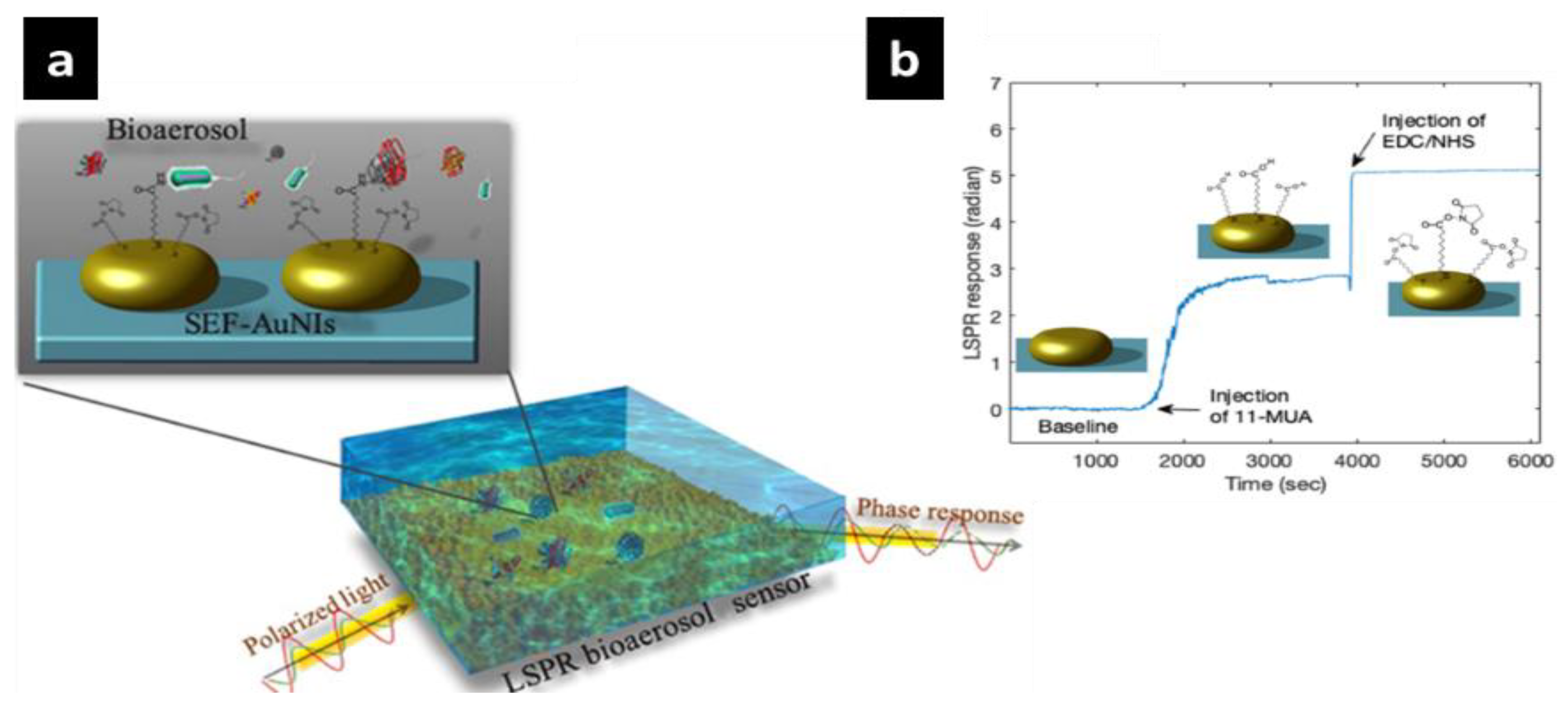 Sensors 20 06591 g010