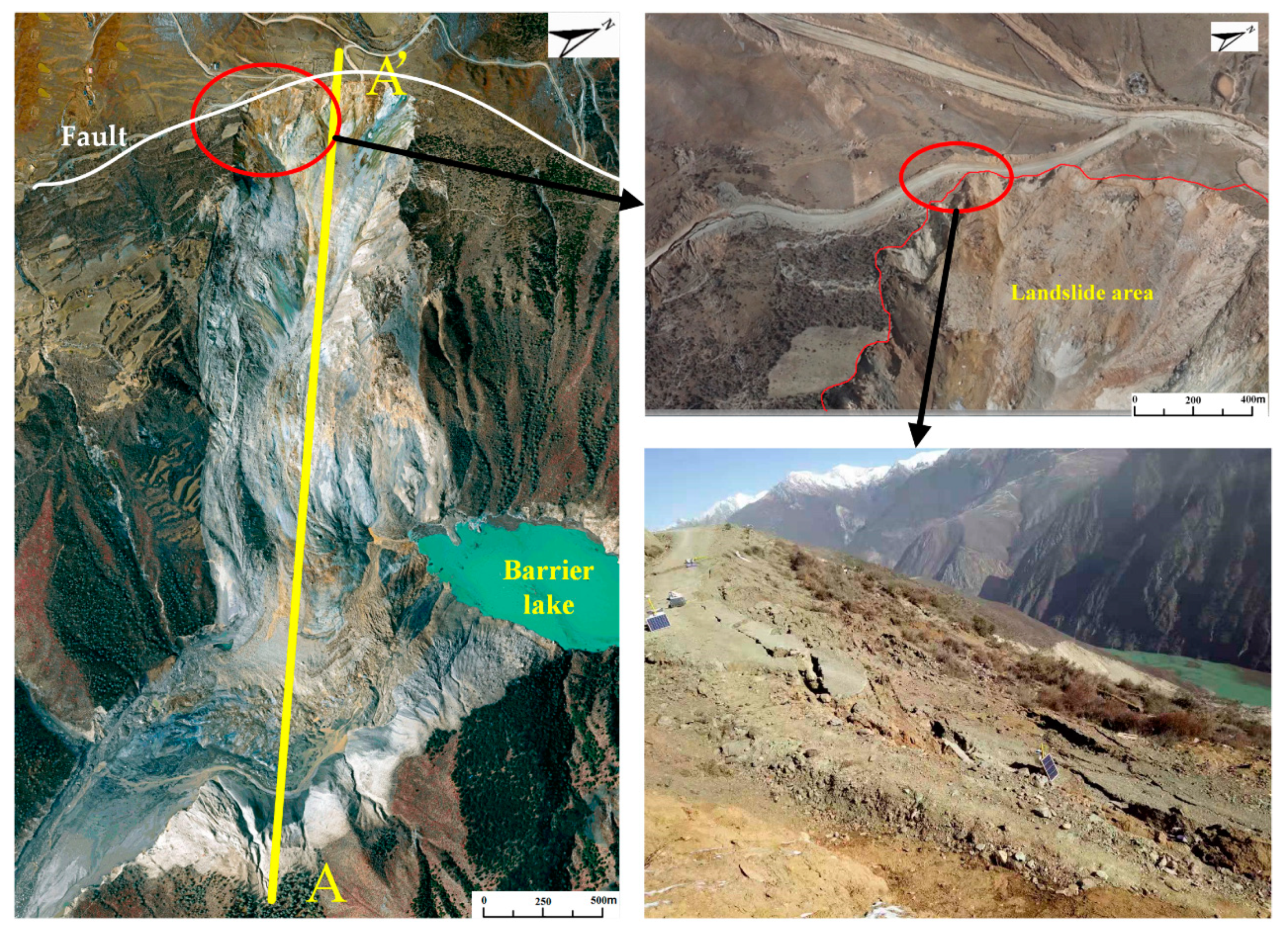 Sensors 20 06619 g005