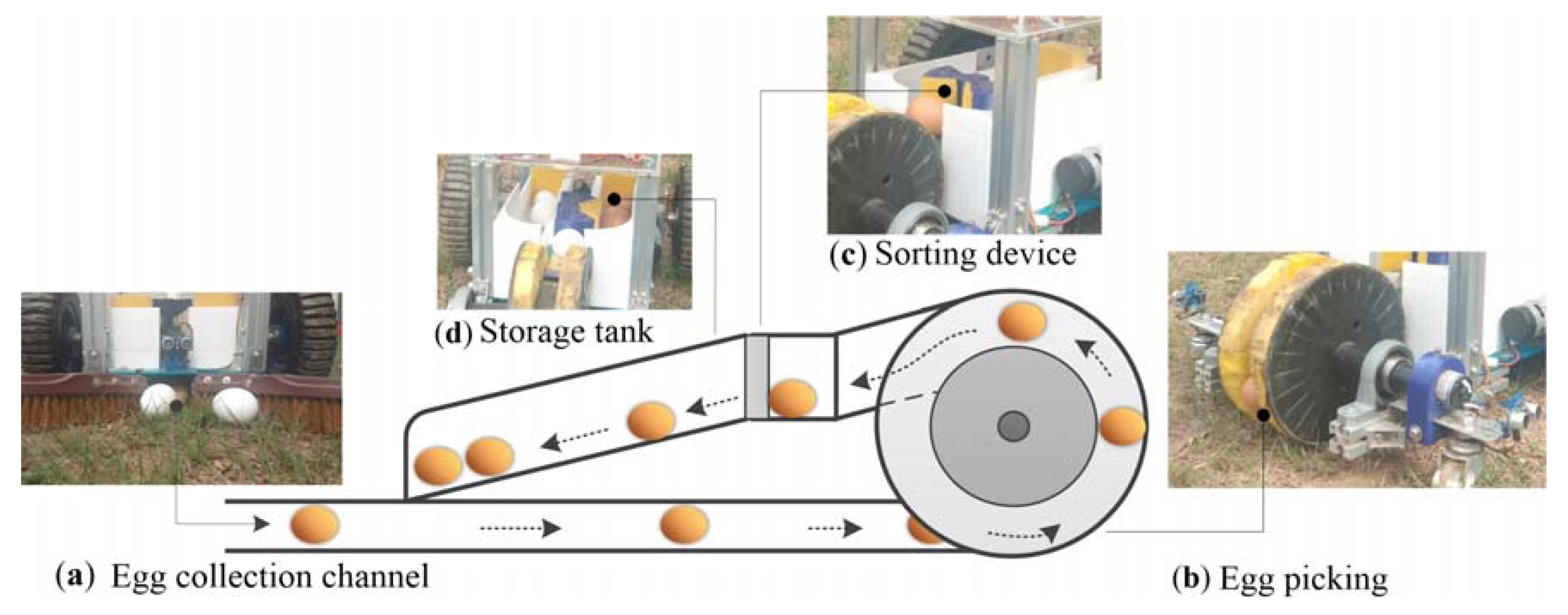 Sensors 20 06624 g008