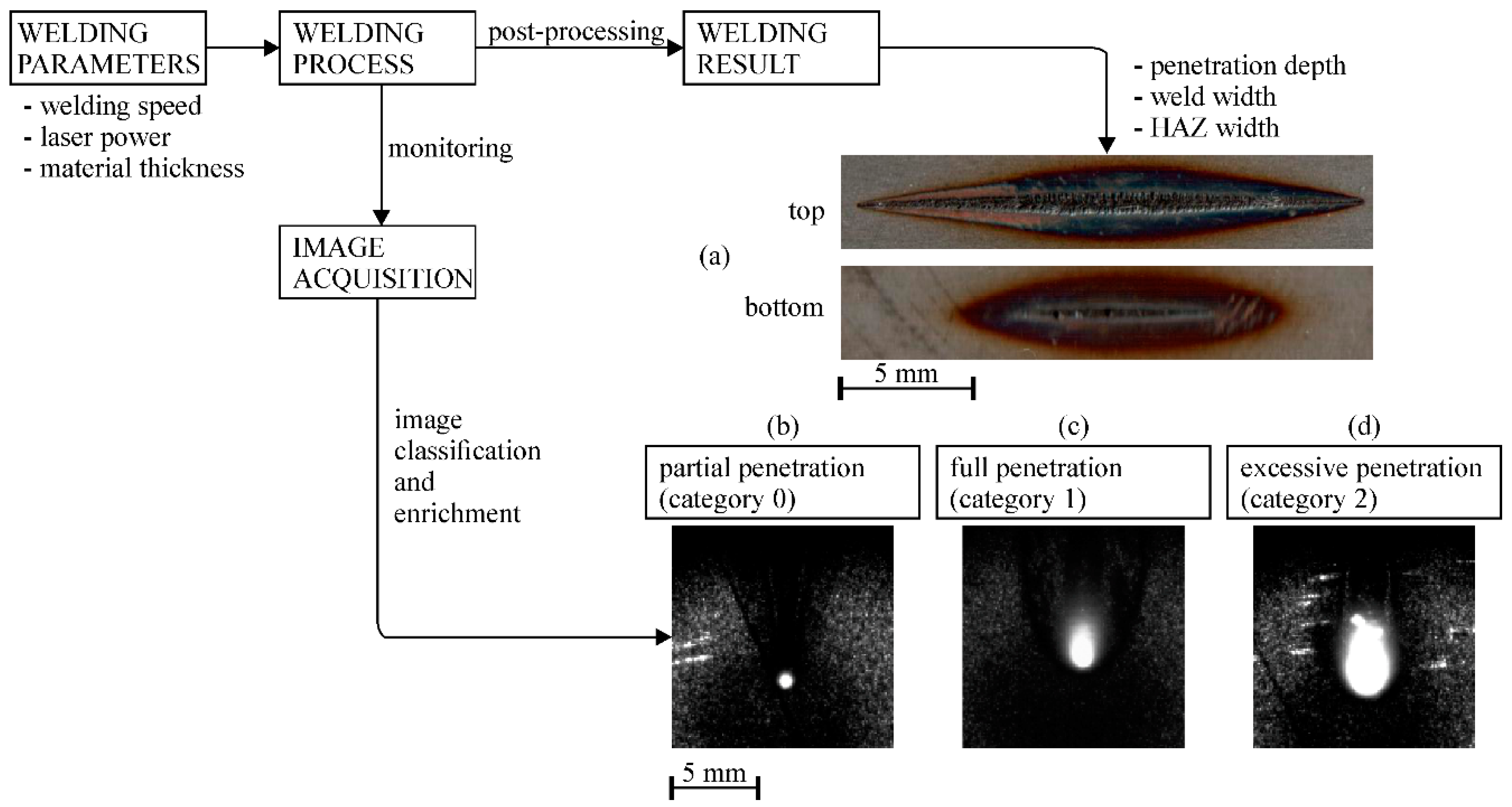 Sensors 20 06658 g002