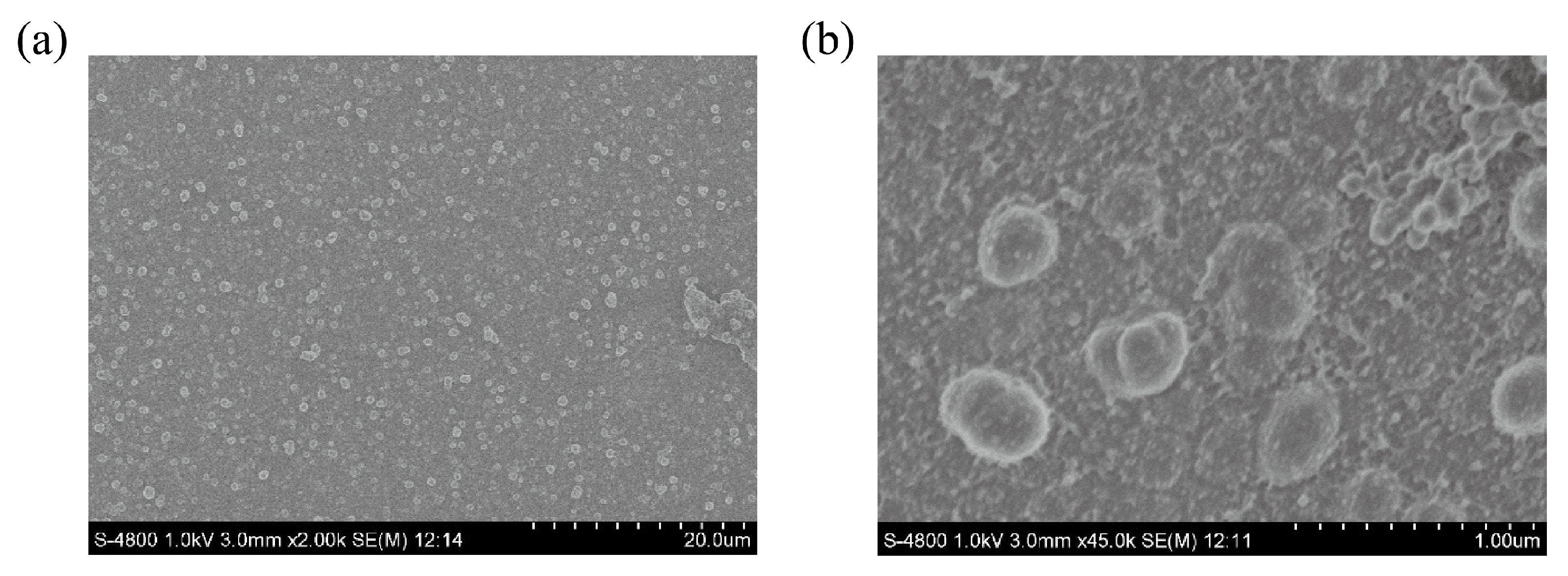 Sensors 20 06686 g003