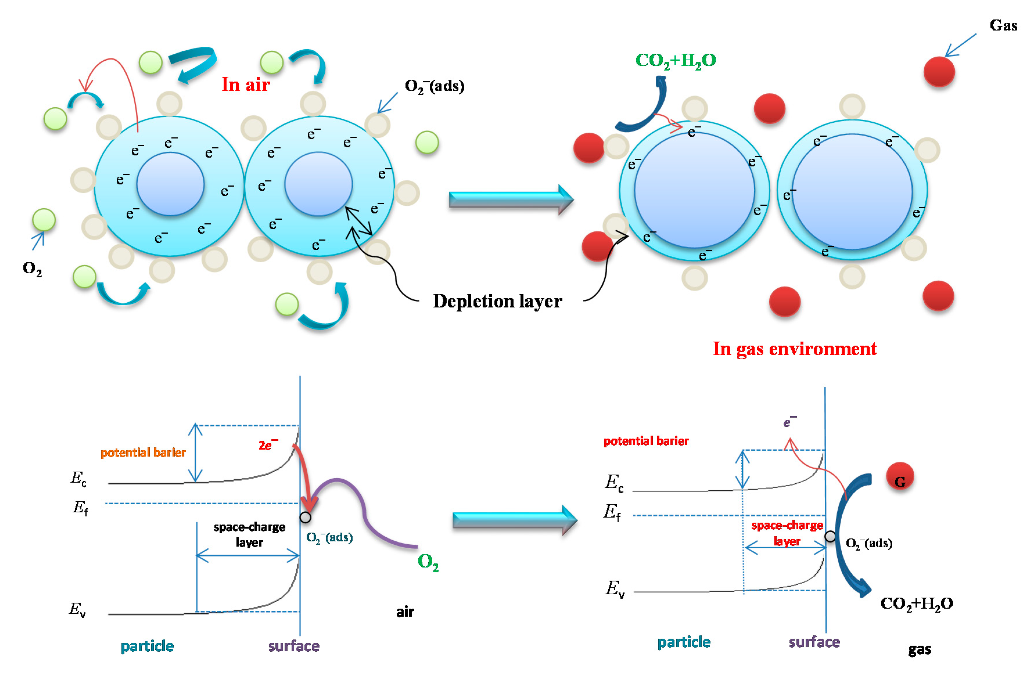 Sensors 20 06694 g005