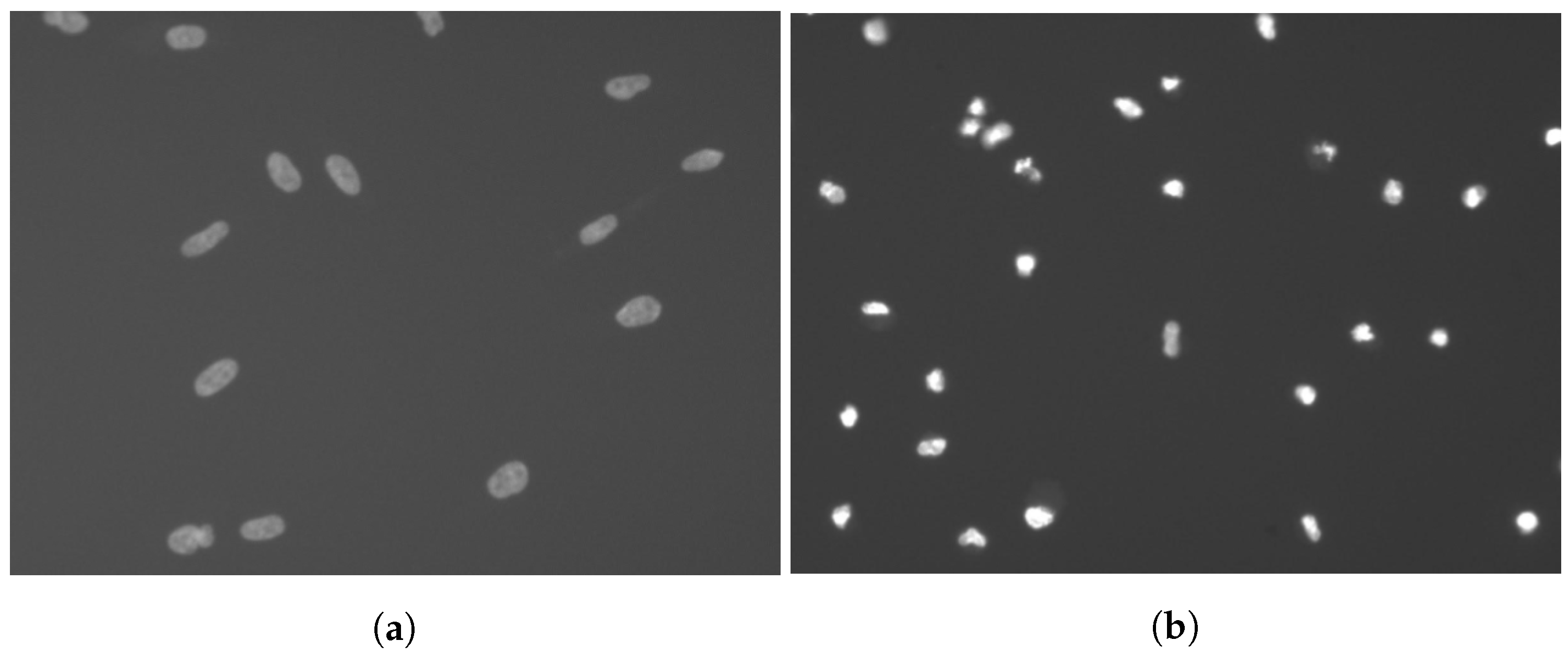 Sensors 20 06713 g002 Sensors 20 06713 g002