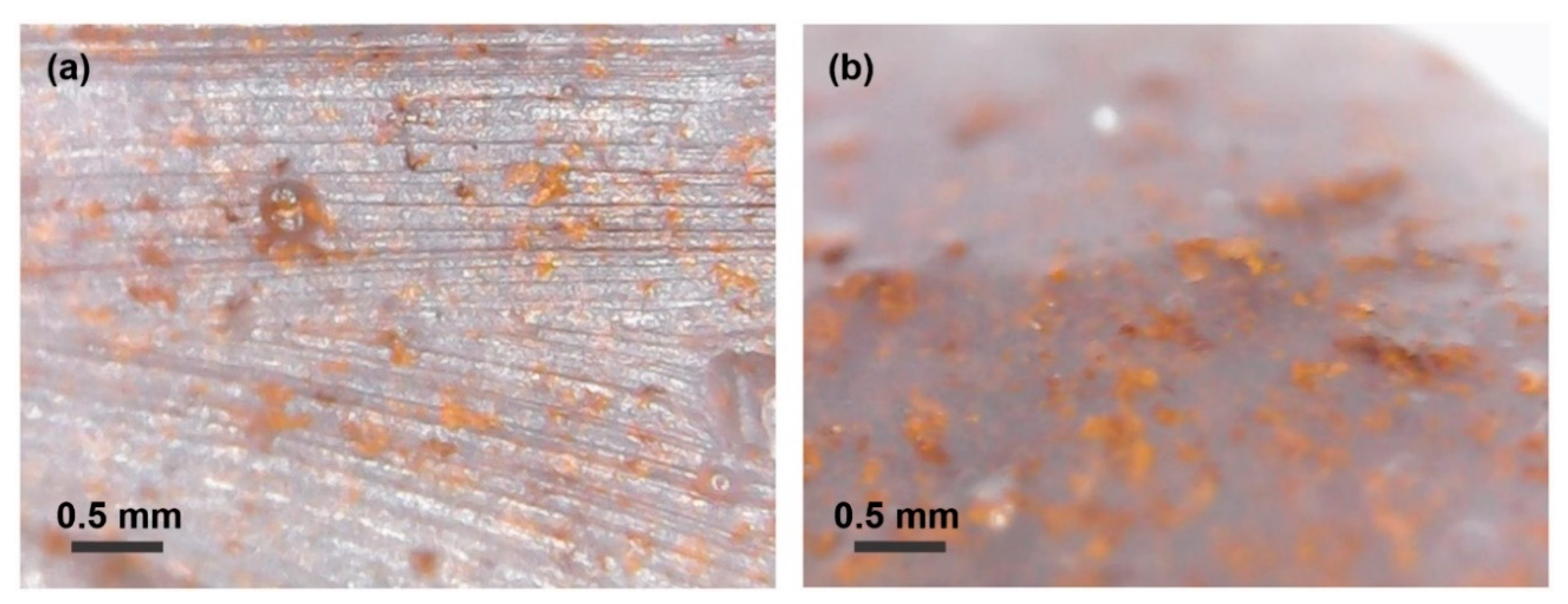 Sensors 20 06736 g004