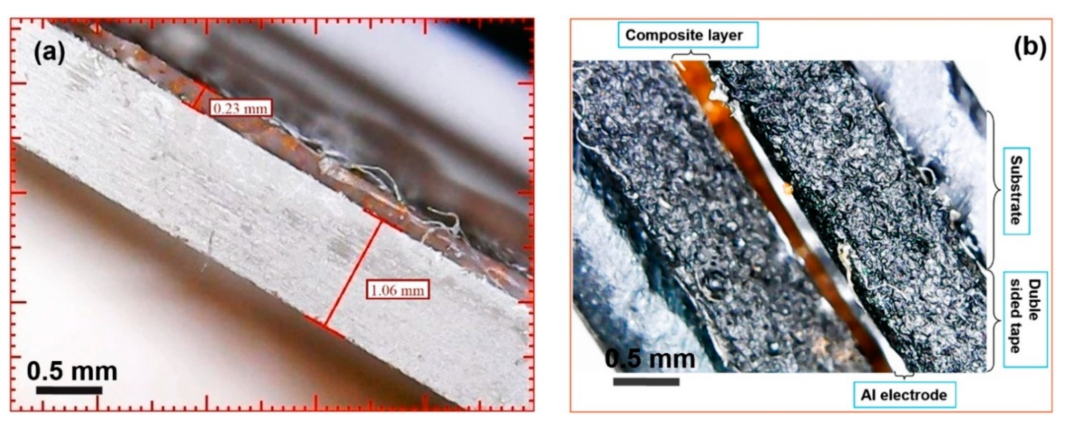 Sensors 20 06736 g005