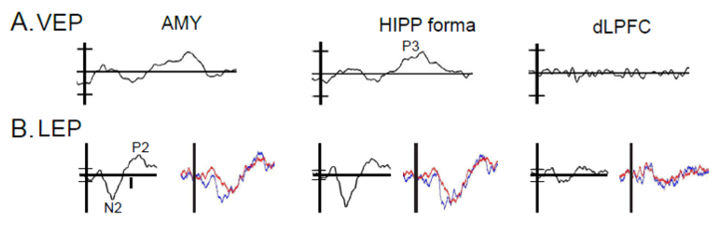 Sensors 20 06751 g003